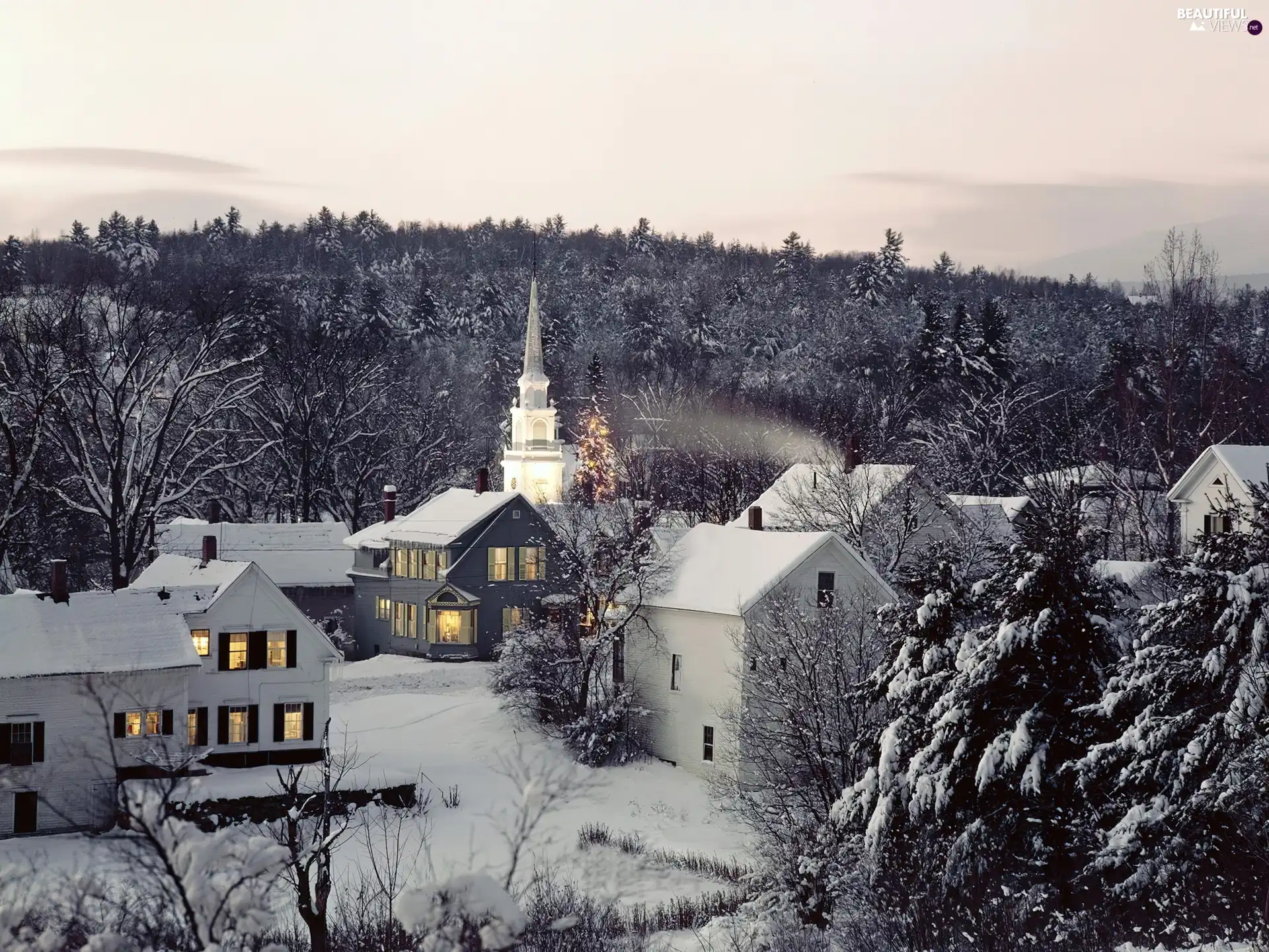 woods, Church, buildings, winter