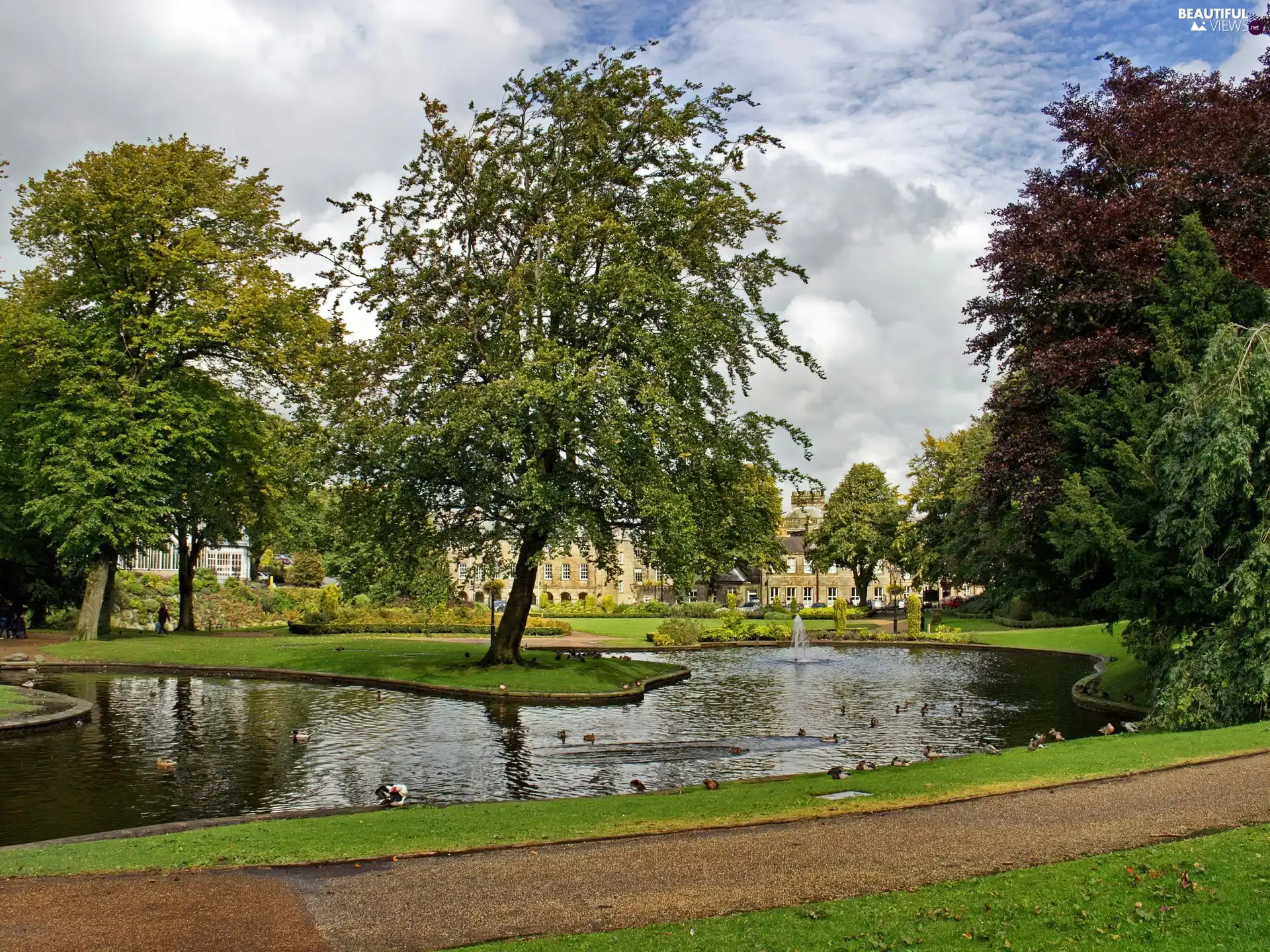 Buxton, England, Pond - car, fountain, Park