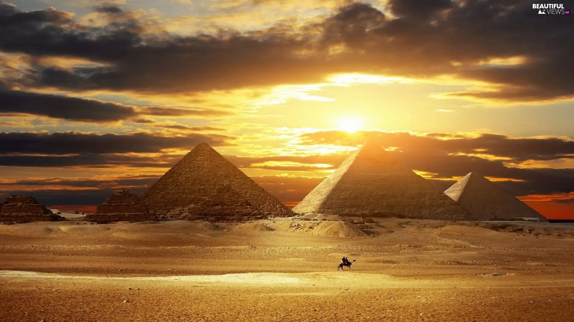 Camel, Pyramids, Desert