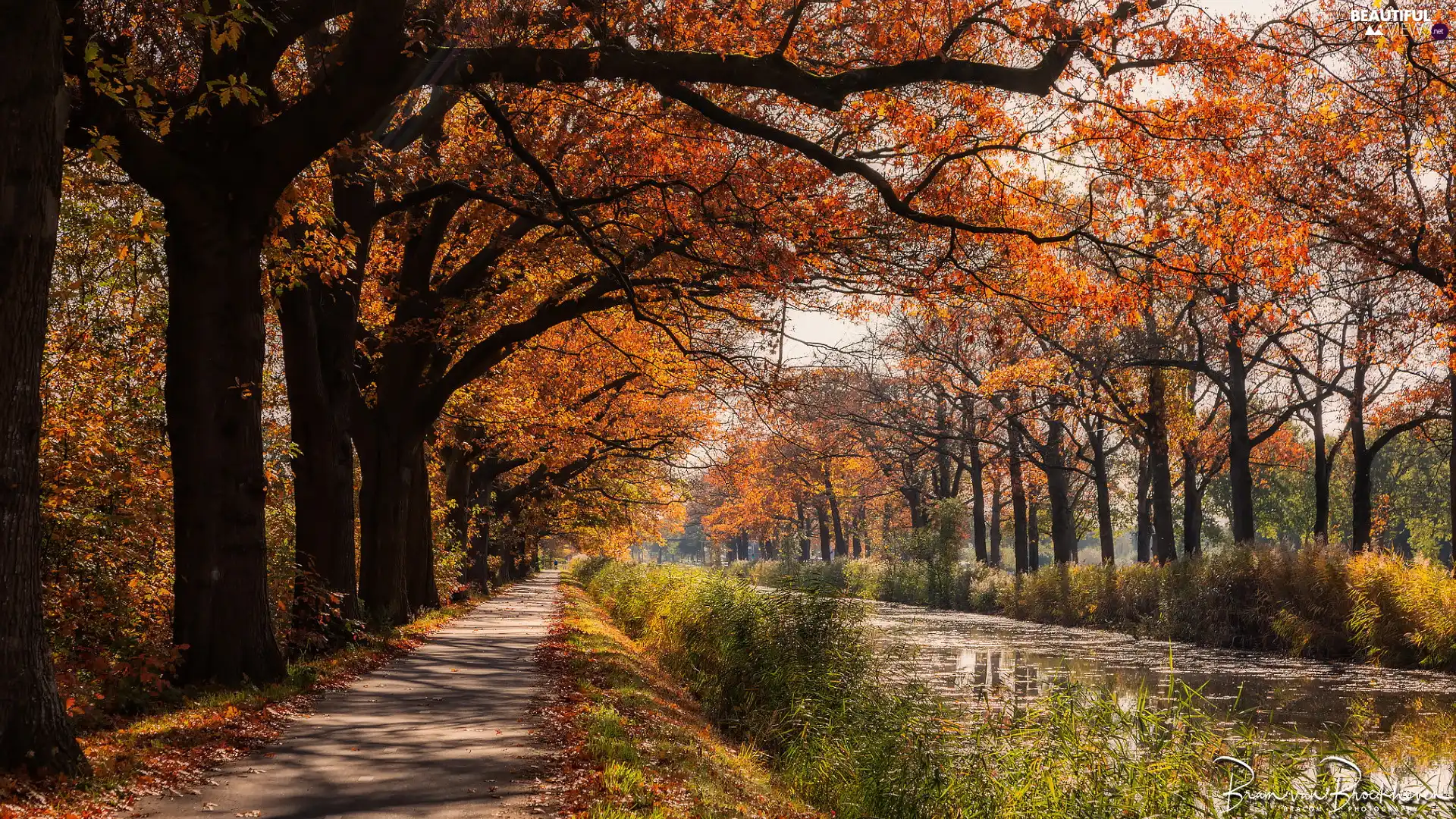 viewes, autumn, River, canal, Path, trees