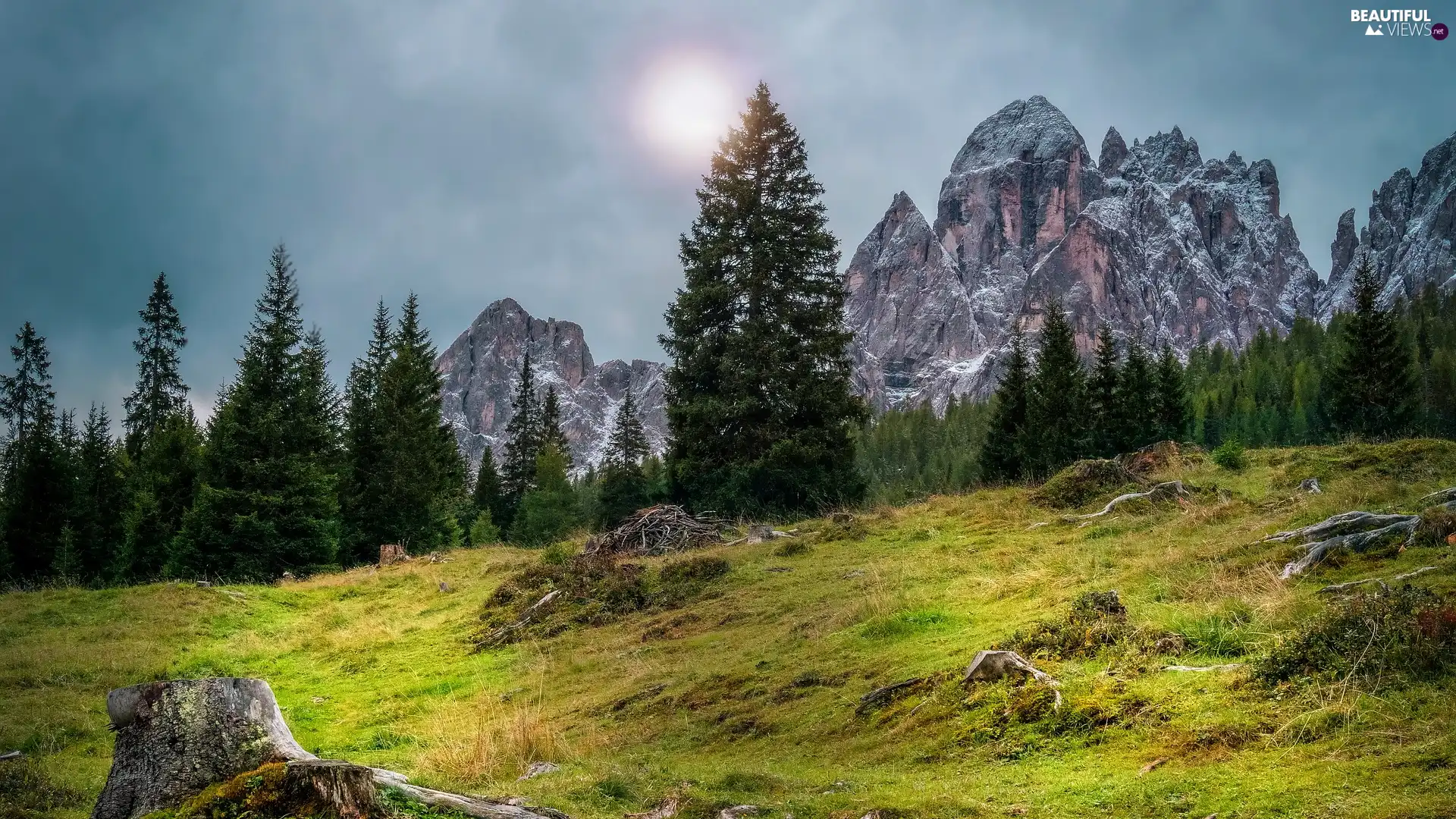car in the meadow, trees, Dolomites, viewes, Mountains, Sunrise, Italy