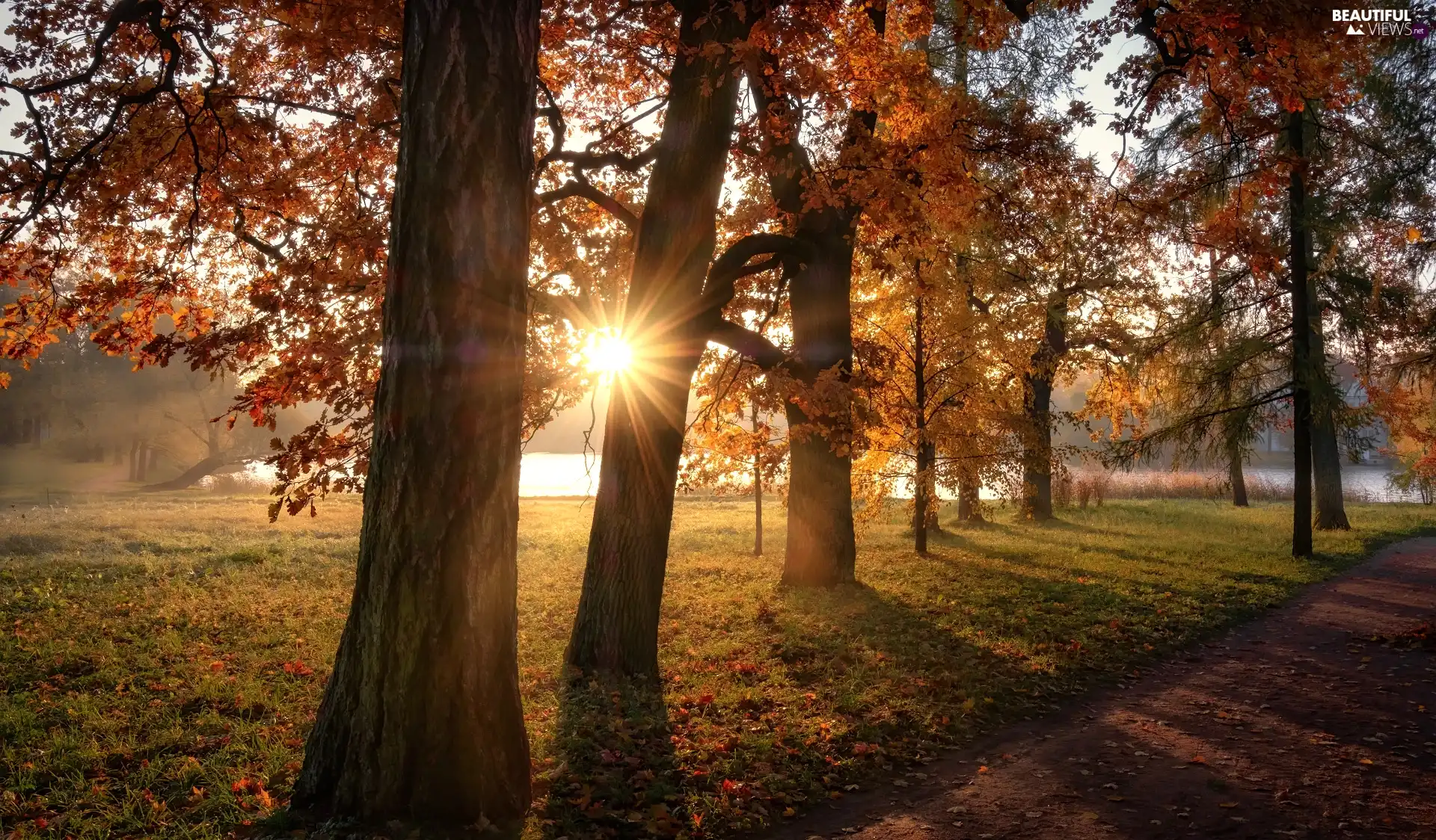 Park, autumn, rays of the Sun, Pond - car, St. Petersburg, Russia, viewes, Tsarskoye Selo, trees