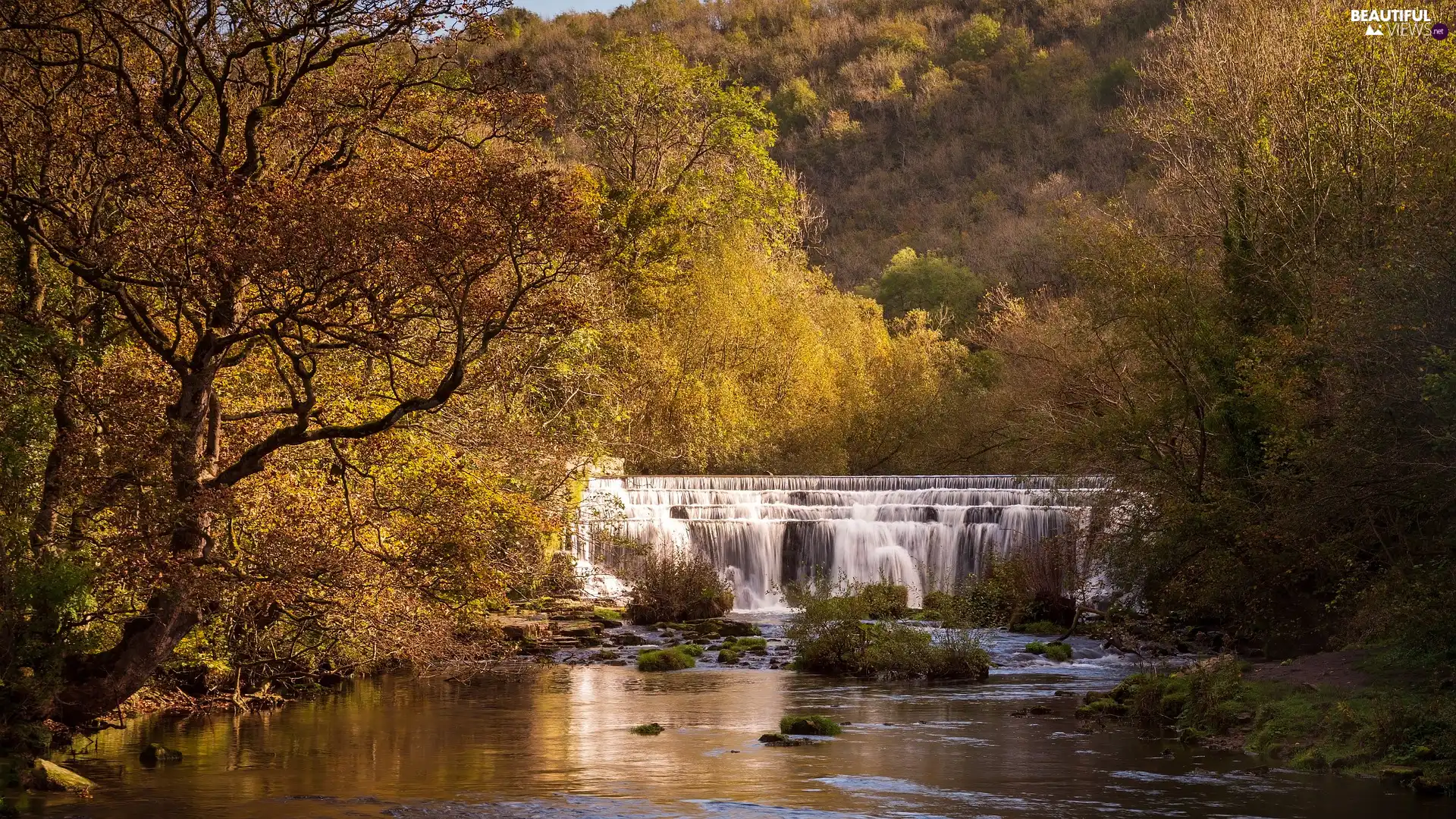 viewes, autumn, waterfall, cascade, River, trees