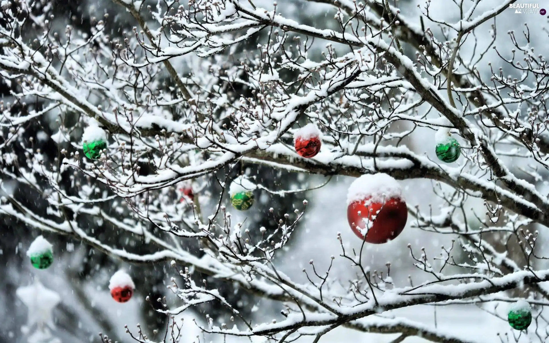 Christmas, winter, trees, baubles, Snowy