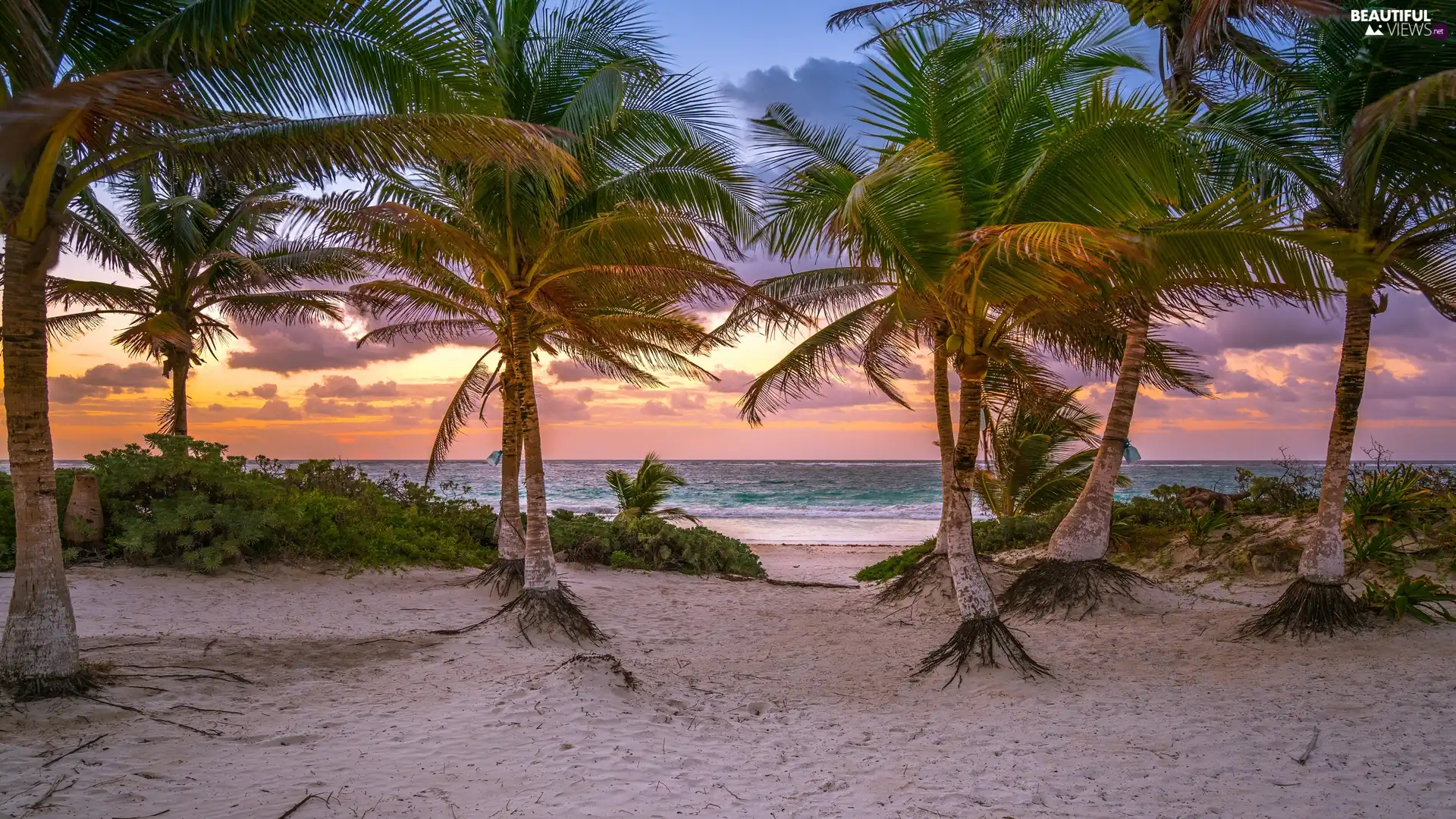 Sunrise, Quintana Roo Province, Palms, Tulum City, Mexico, Caribbean Sea, clouds