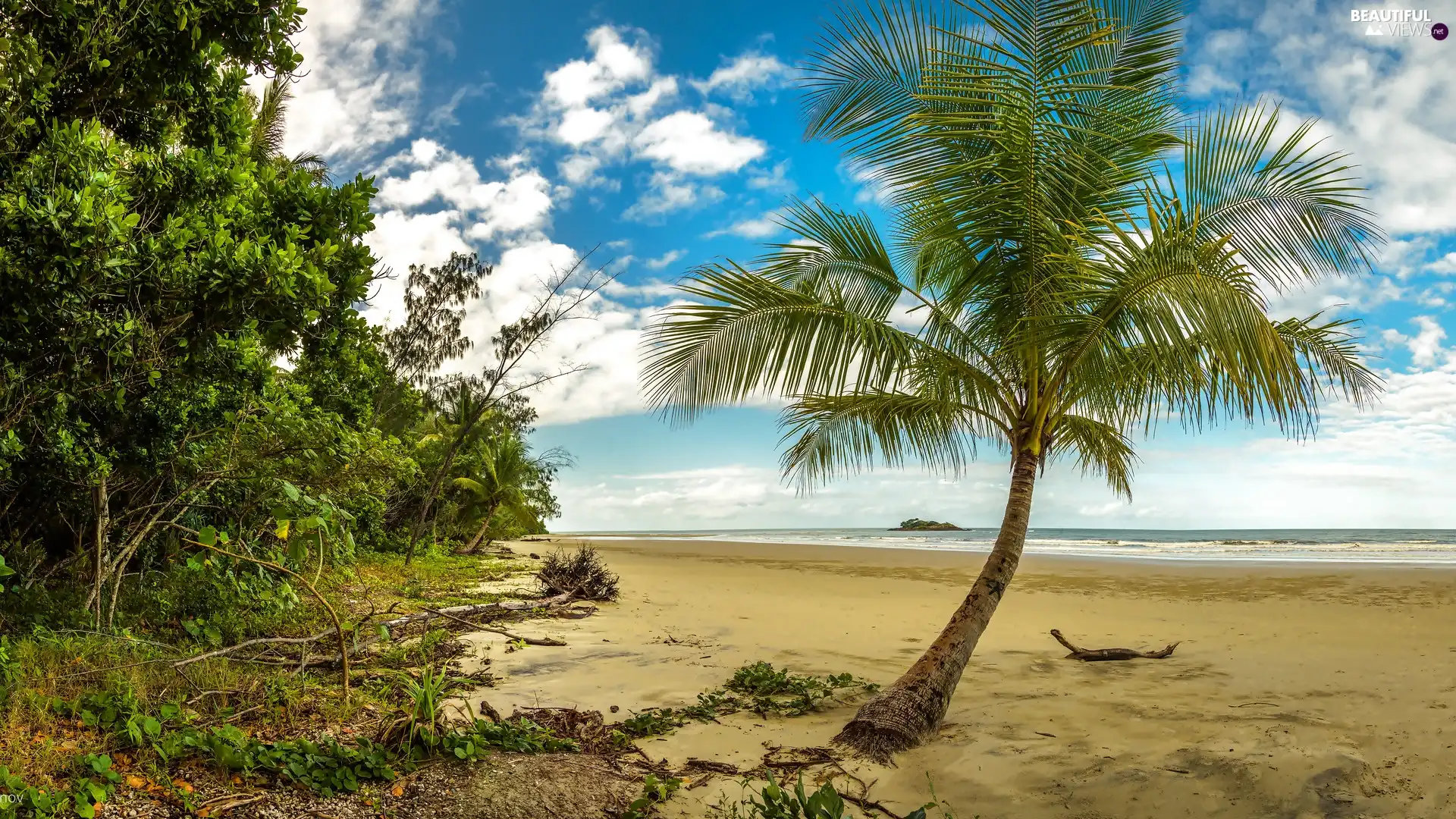 Palm, sea, viewes, clouds, trees, Beaches