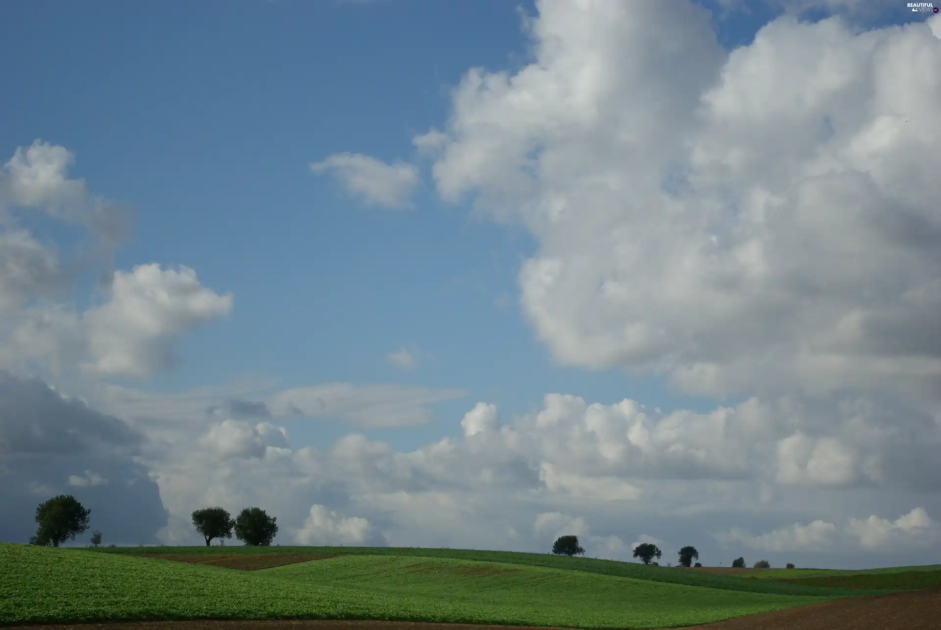field, clouds