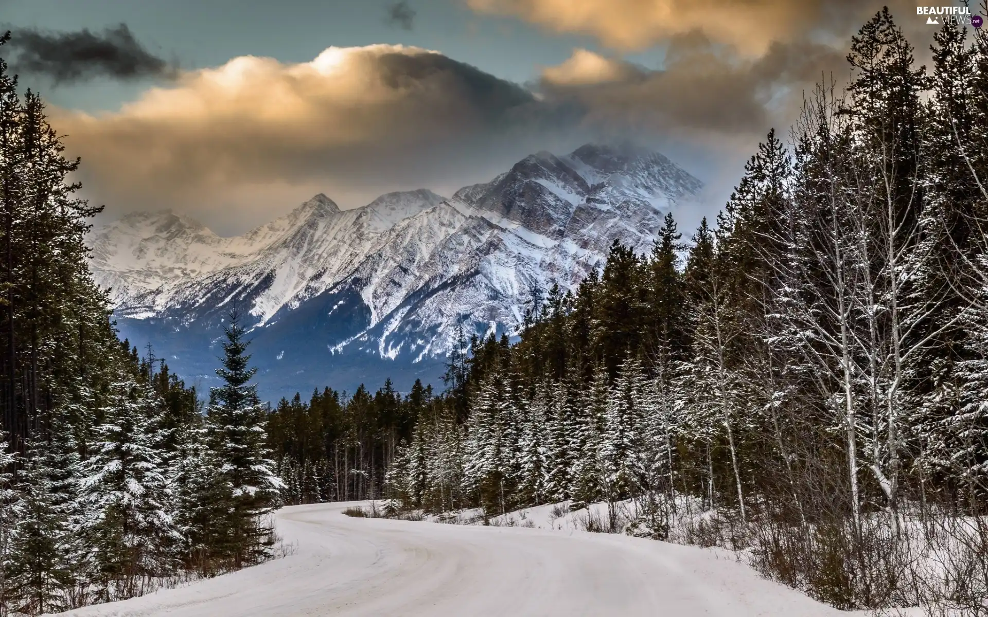 clouds, winter, woods, Way, Mountains