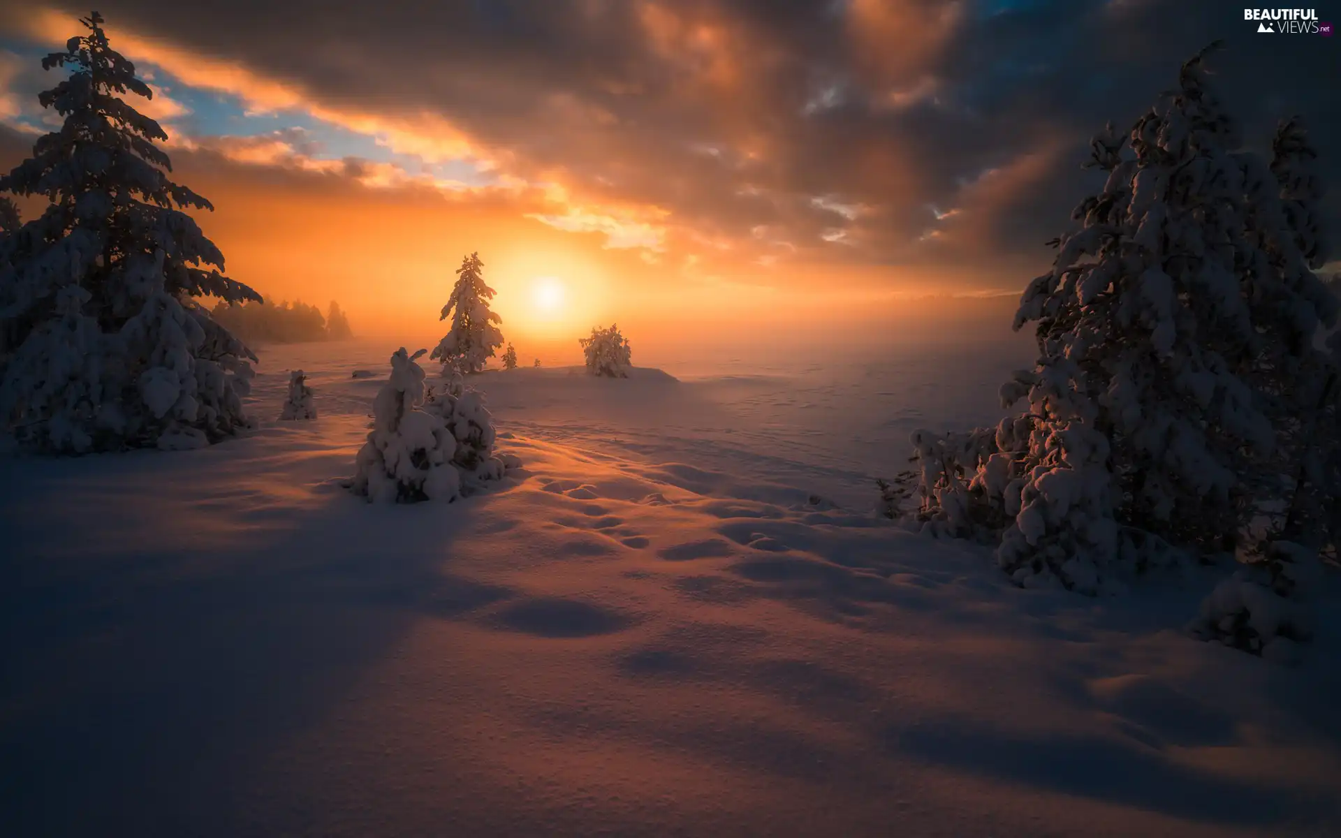 viewes, Snowy, winter, clouds, Great Sunsets, trees