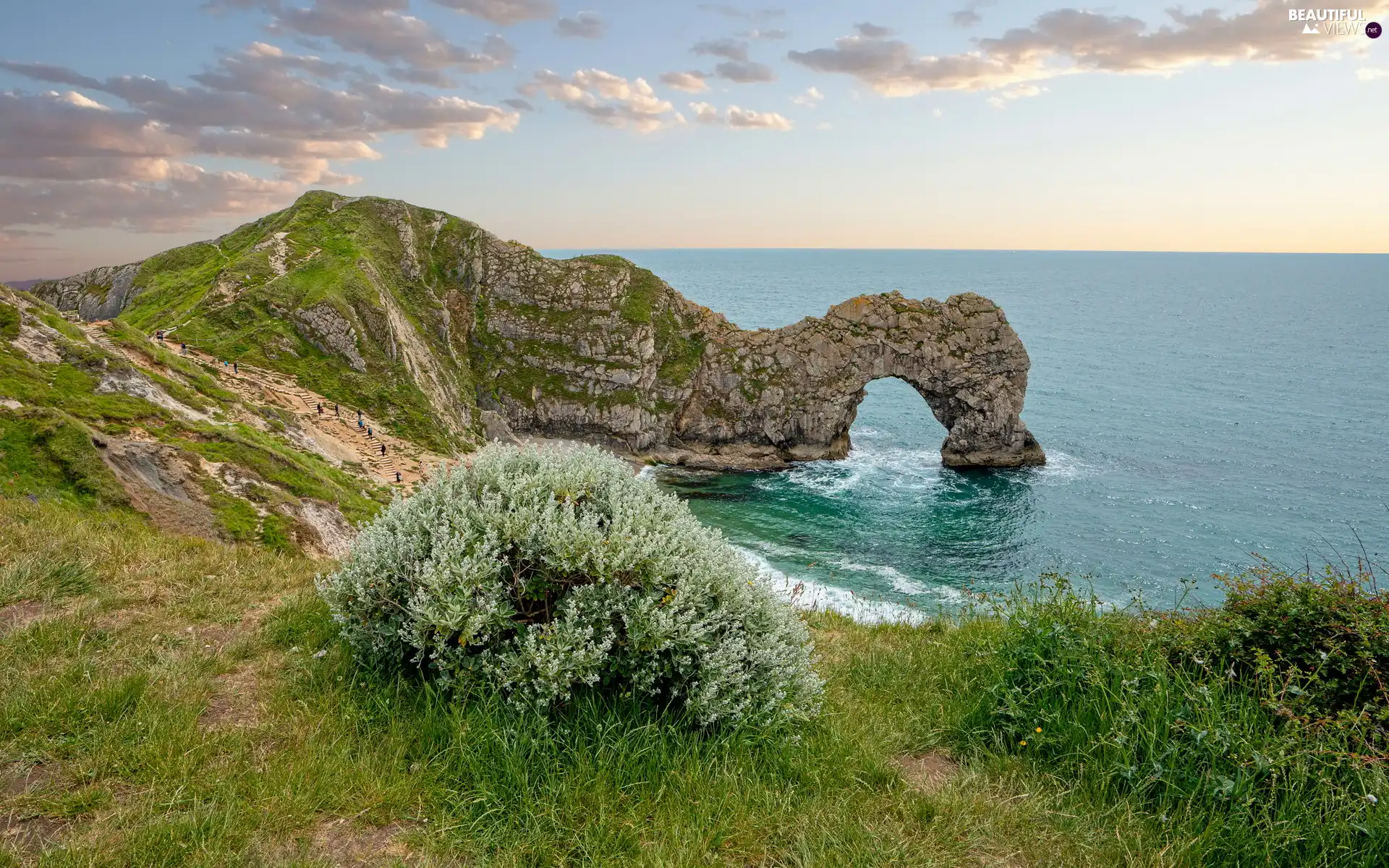 Plants, Rocks, England, Limestone Durdle Door, County Dorset, Jurassic Coast, sea, clouds