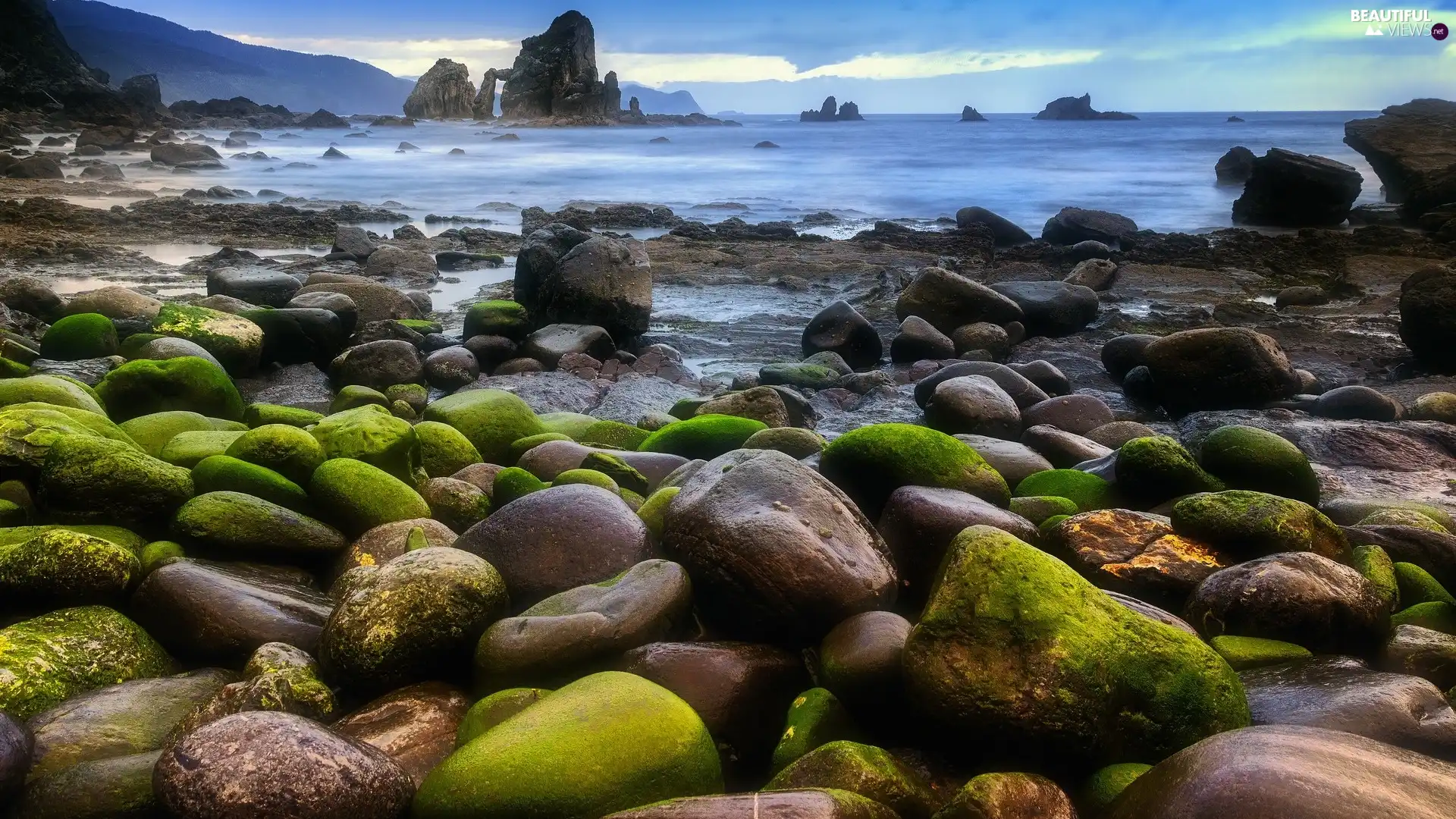 Stones, coast, rocks, mossy, sea