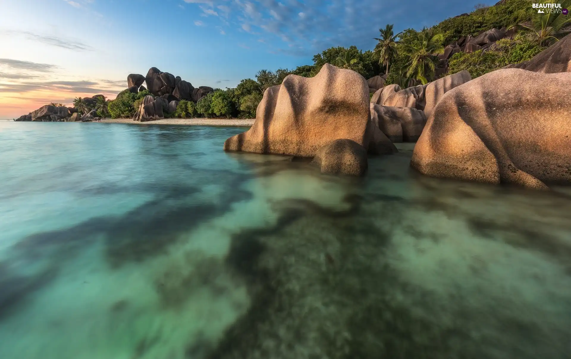 rocks, Palms, La Digue Island, Ocean, Seychelles