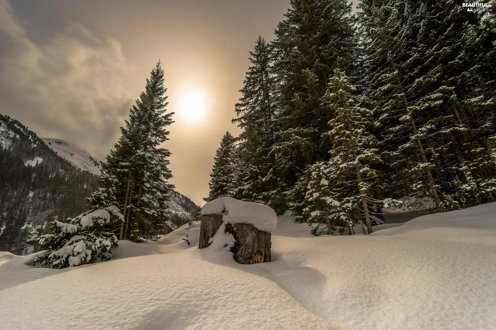 drifts, Mountains, trees, viewes, winter, Great Sunsets, snow, clouds, forest