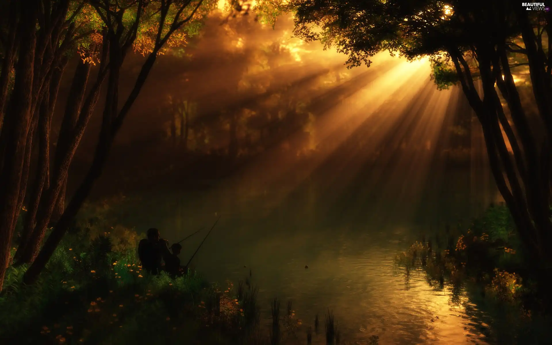rays, forest Lake, fishing, sun