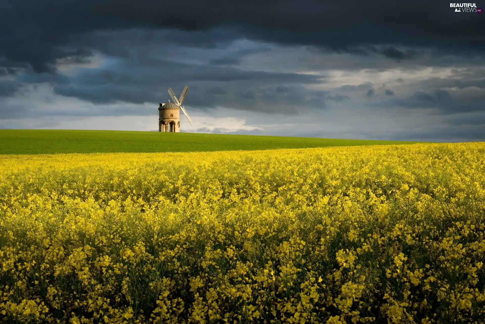 Field, Windmill, Yellow, Flowers, rape, clouds