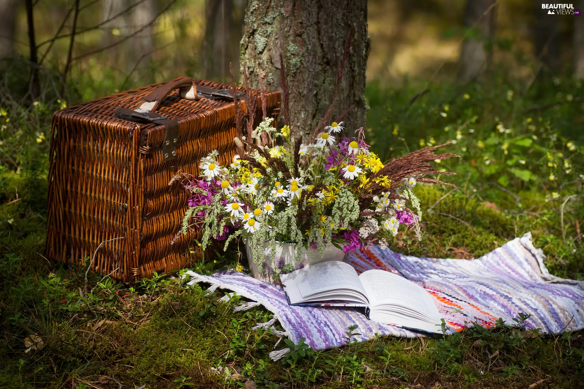 Wildflowers, Flowers, picnic, Book, wicker, bouquet, trees, basket