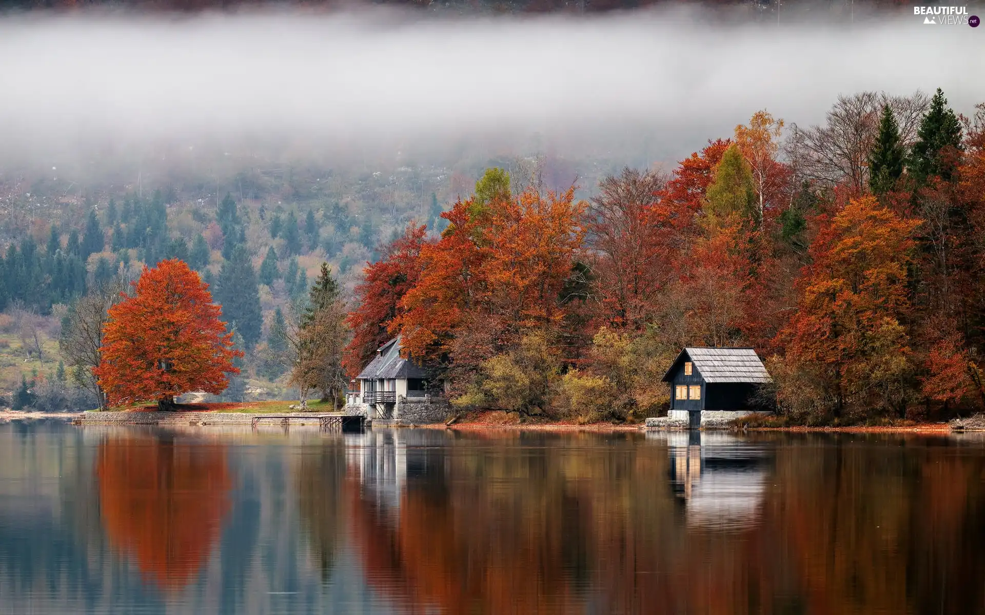 Houses, lake, viewes, Fog, trees, autumn