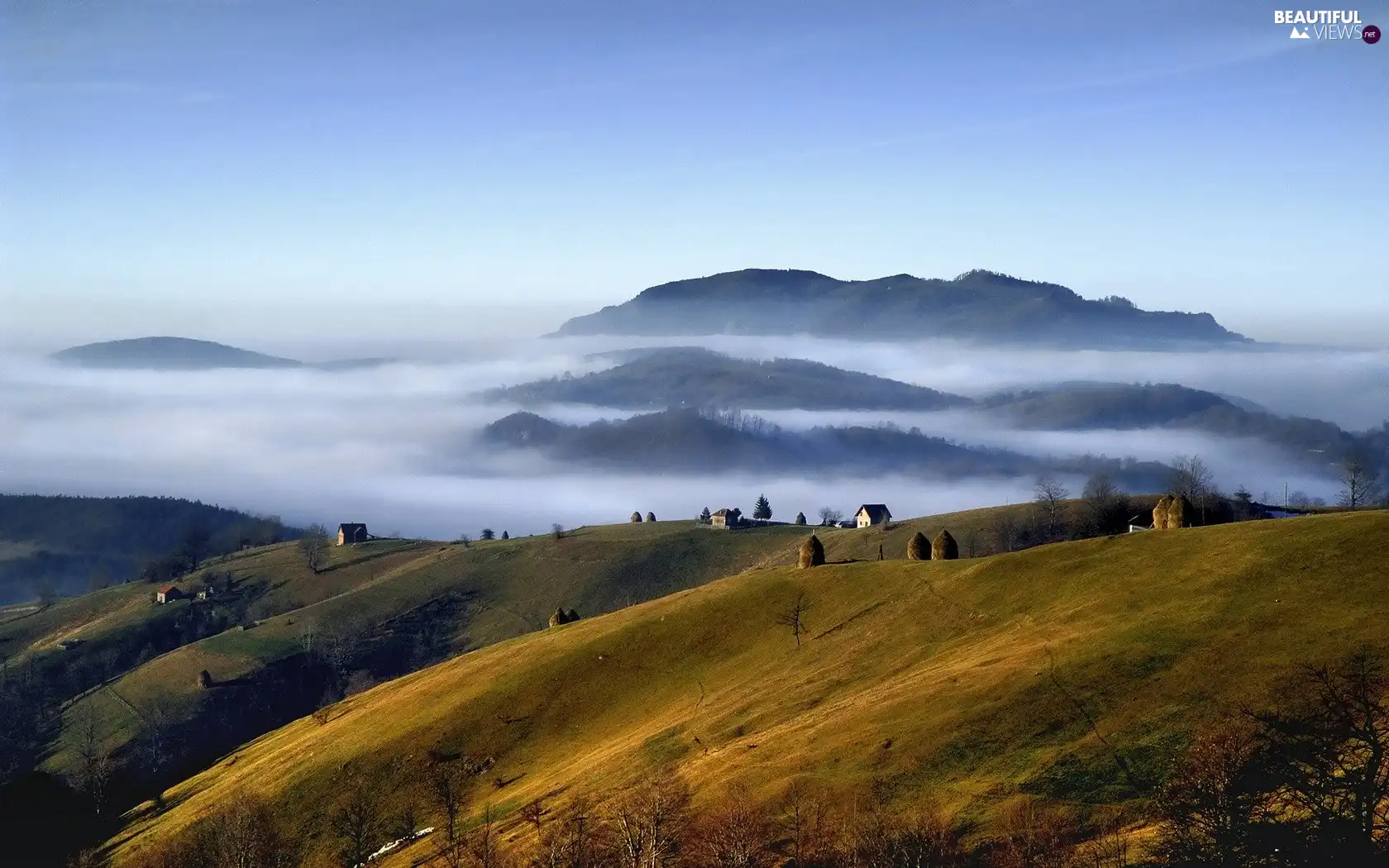 Fog, field, Mountains
