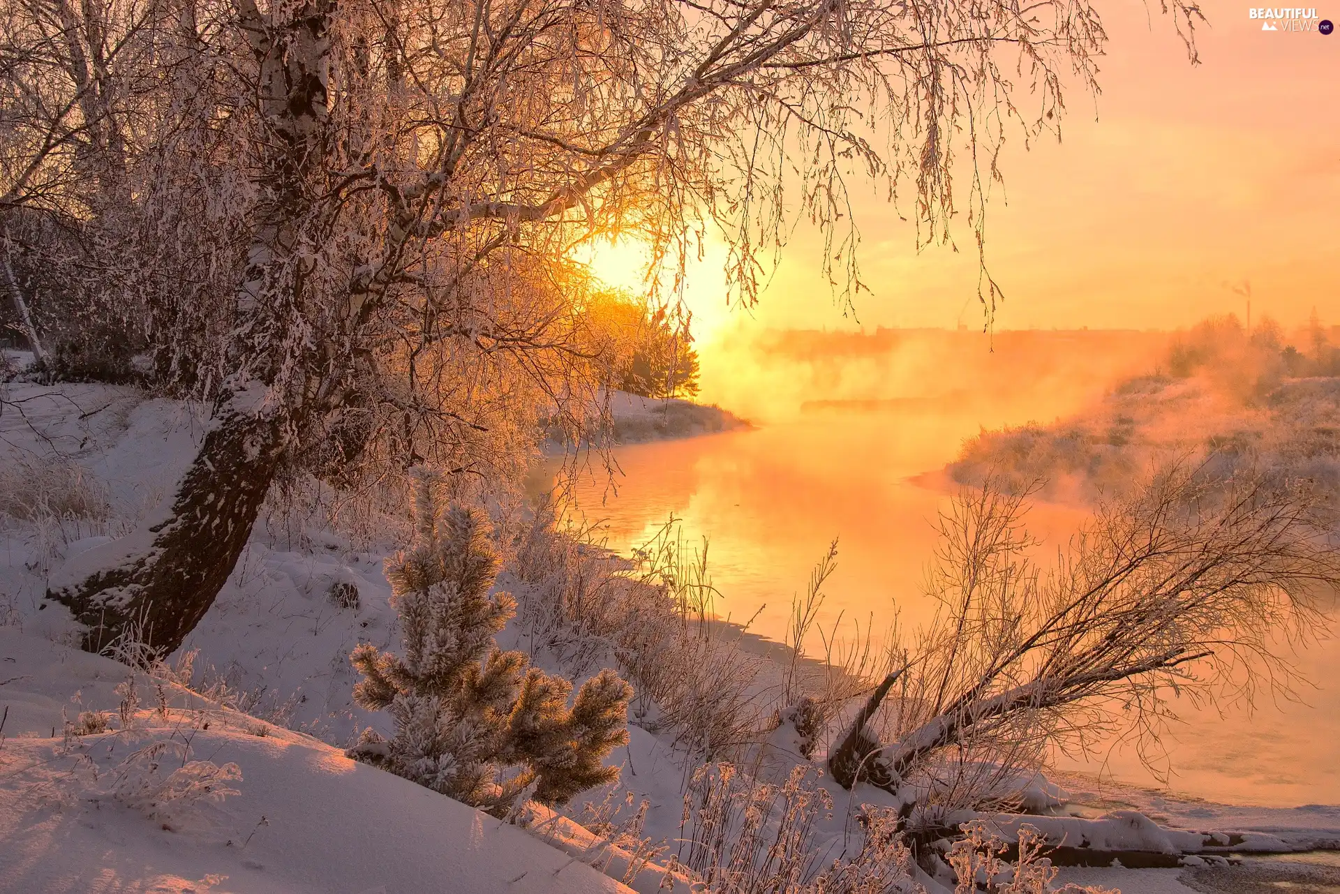 River, winter, trees, Fog, Sunrise, frosty, viewes