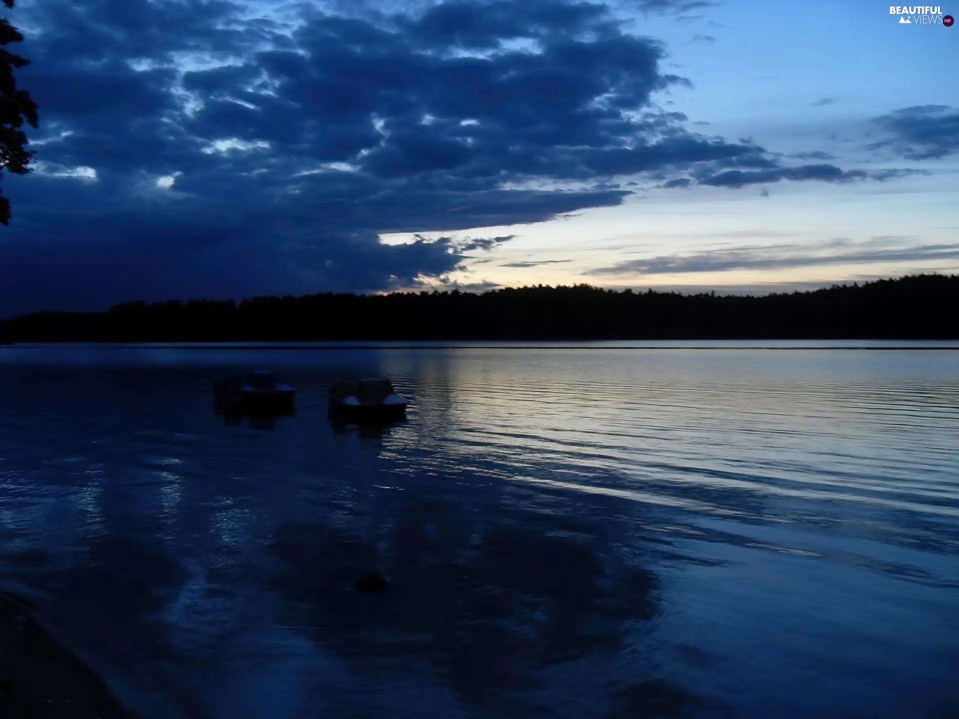clouds, lake, forest, Night