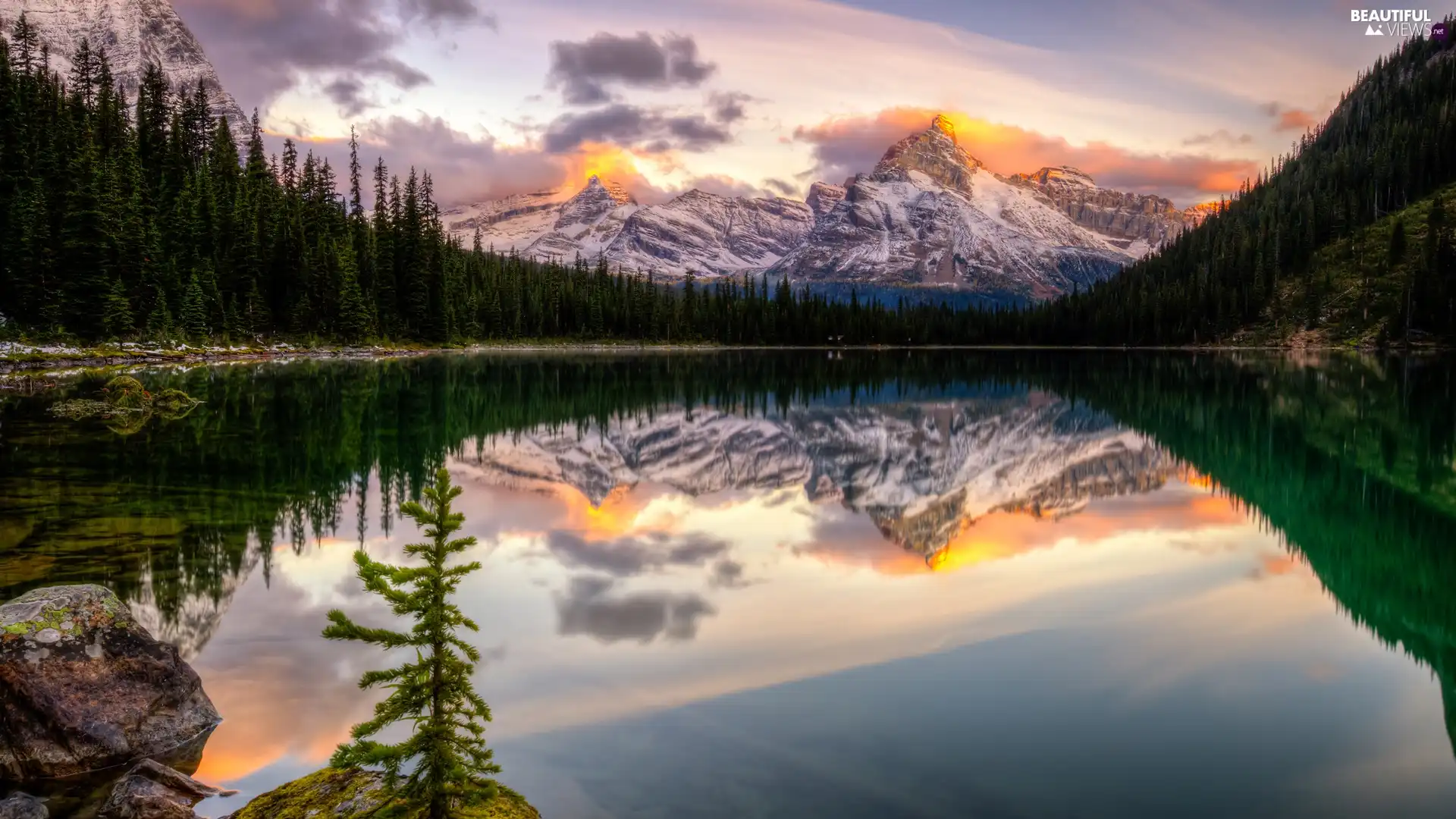 trees, Mountains, clouds, forest, lake, viewes, reflection