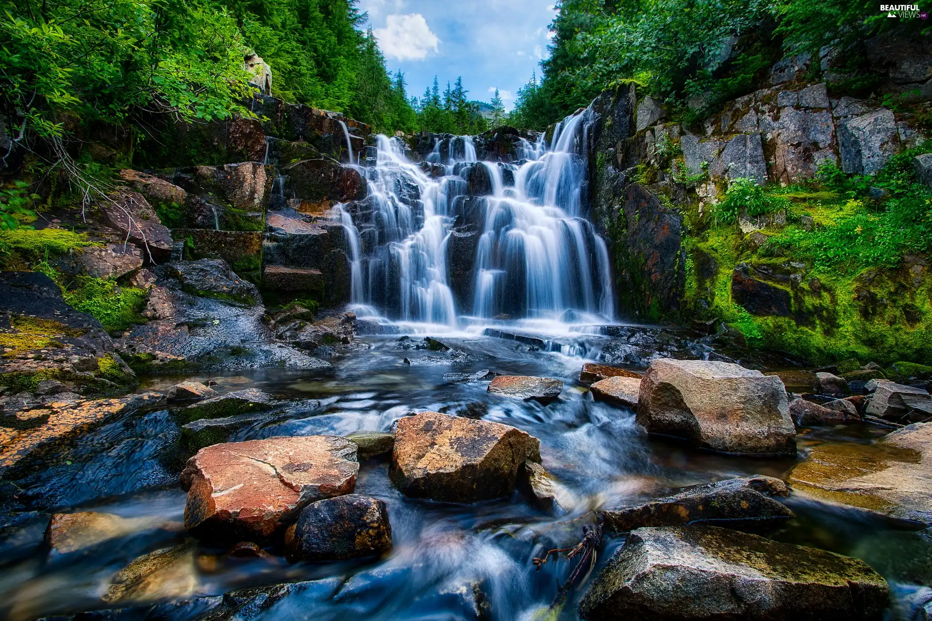 forest, waterfall, rocks