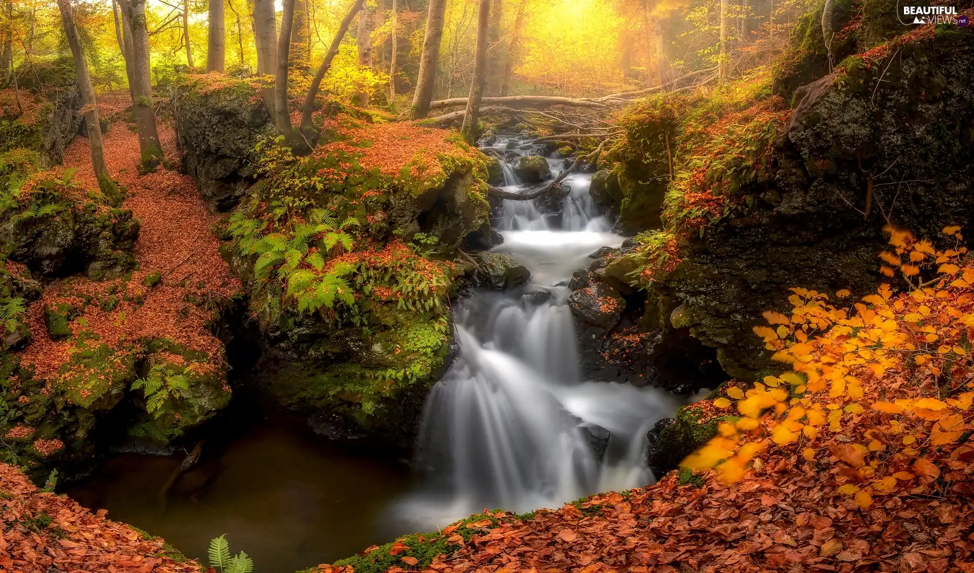 forest, waterfall, trees, viewes, Leaf, autumn, Stones, fallen, rocks