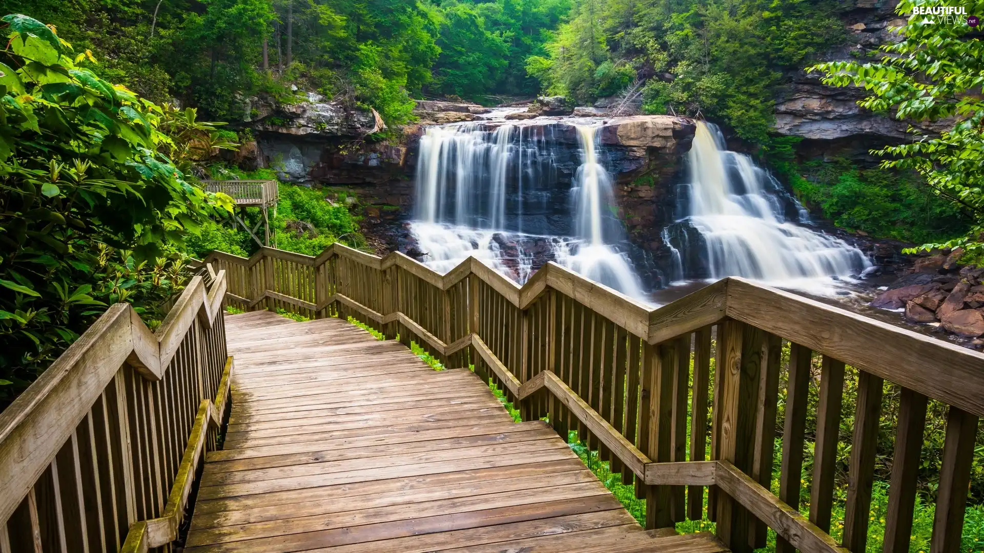 Blackwater Falls State Park, Blackwater Falls, Stairs, forest, viewes, West Virginia, The United States, trees
