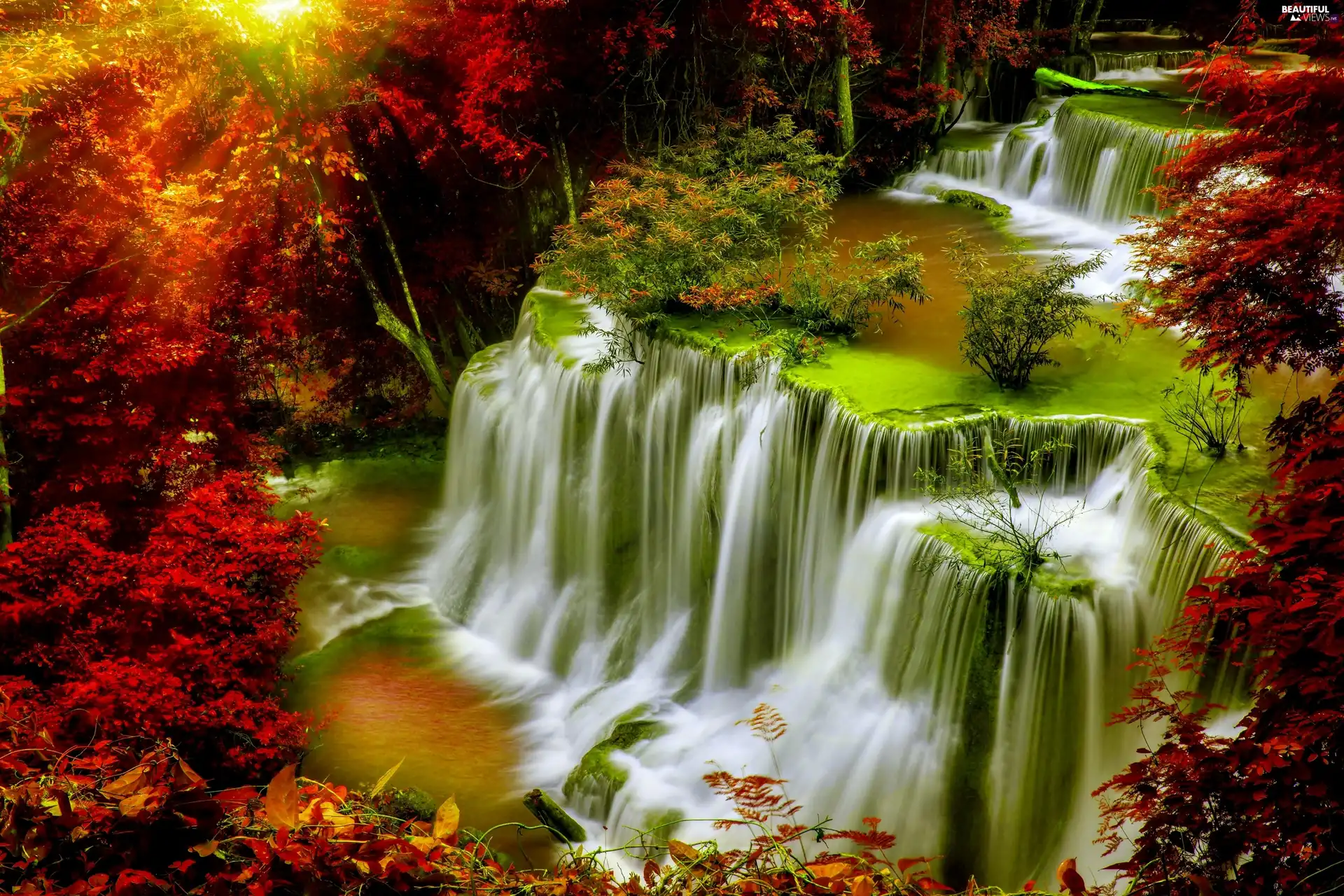 forest, autumn, waterfall