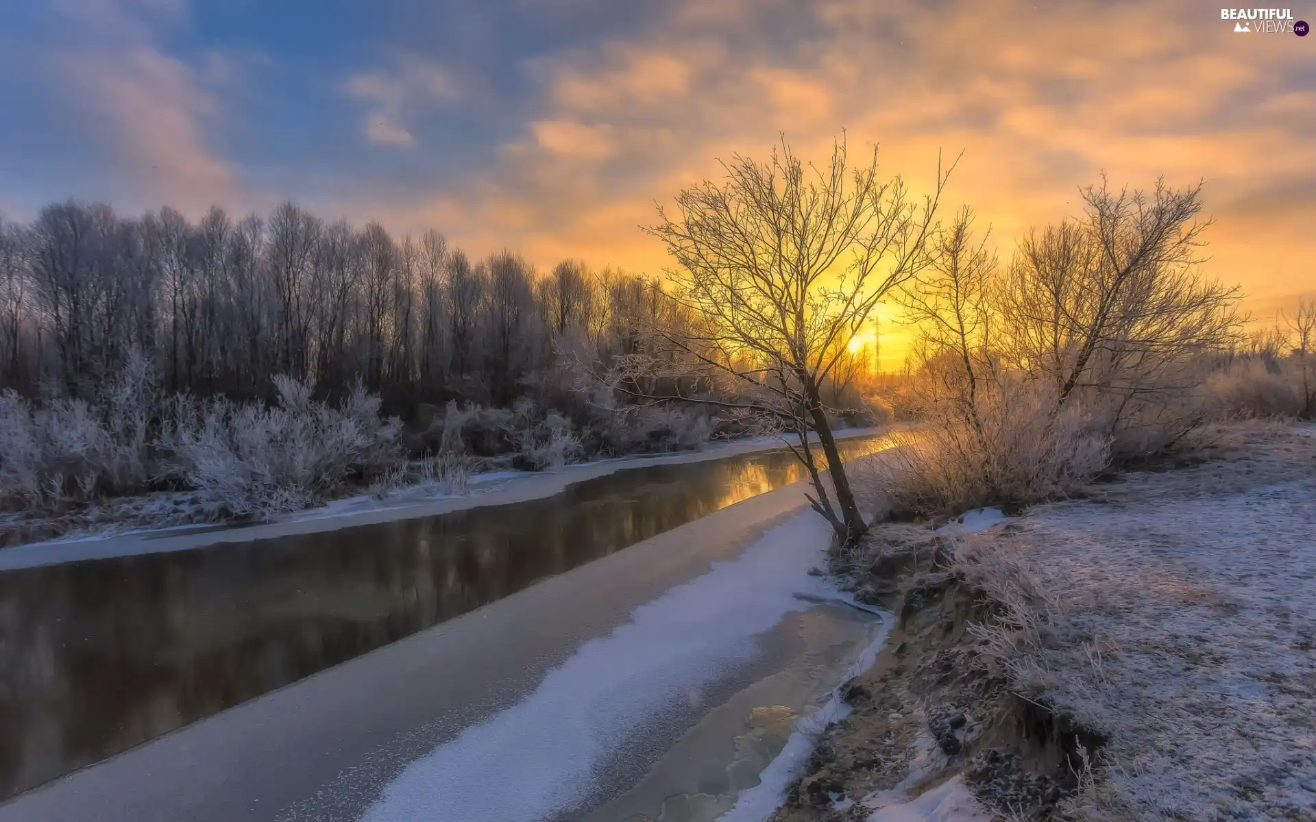 trees, River, snow, frosty, winter, viewes, Sunrise