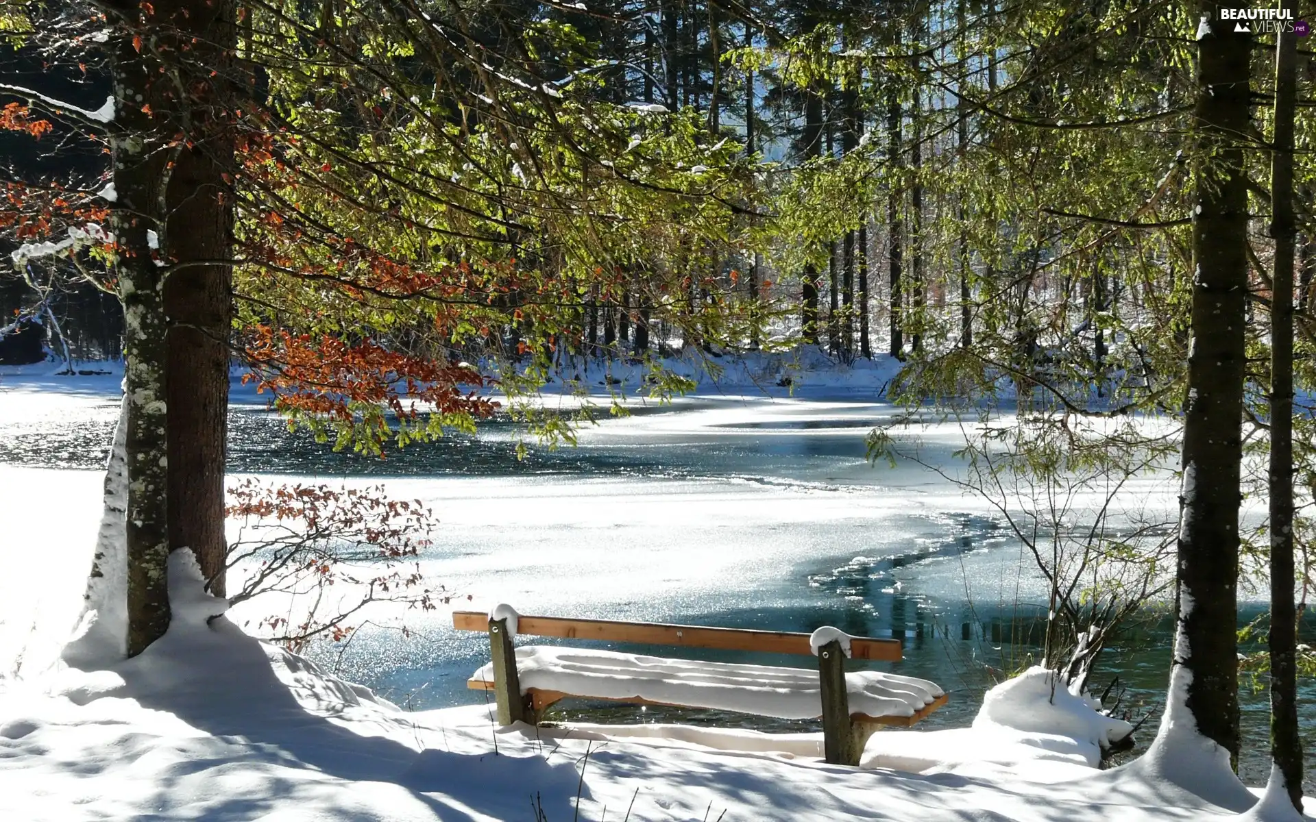 Frozen, River, viewes, Bench, trees