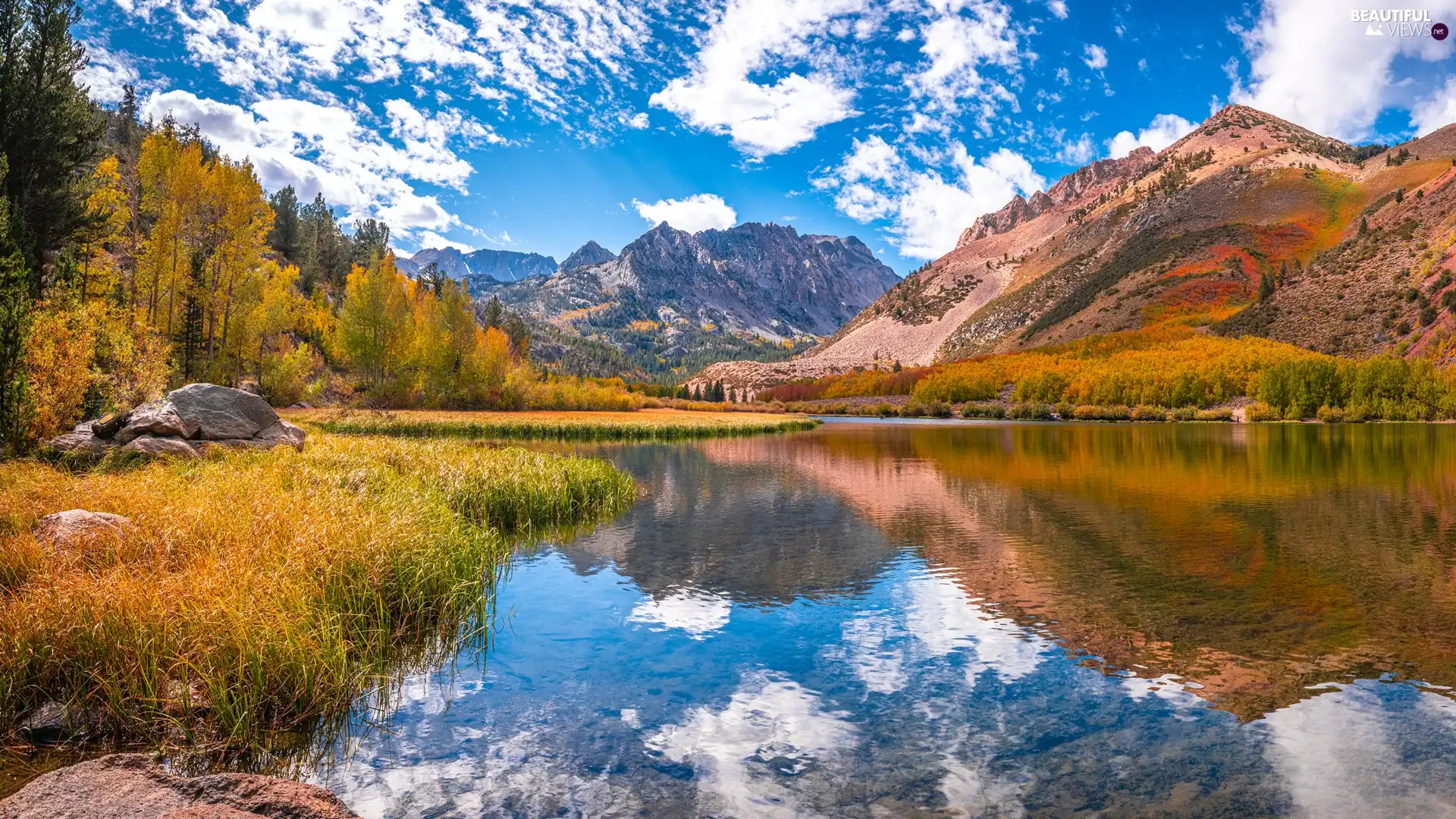 trees, lake, clouds, grass, Mountains, viewes, reflection