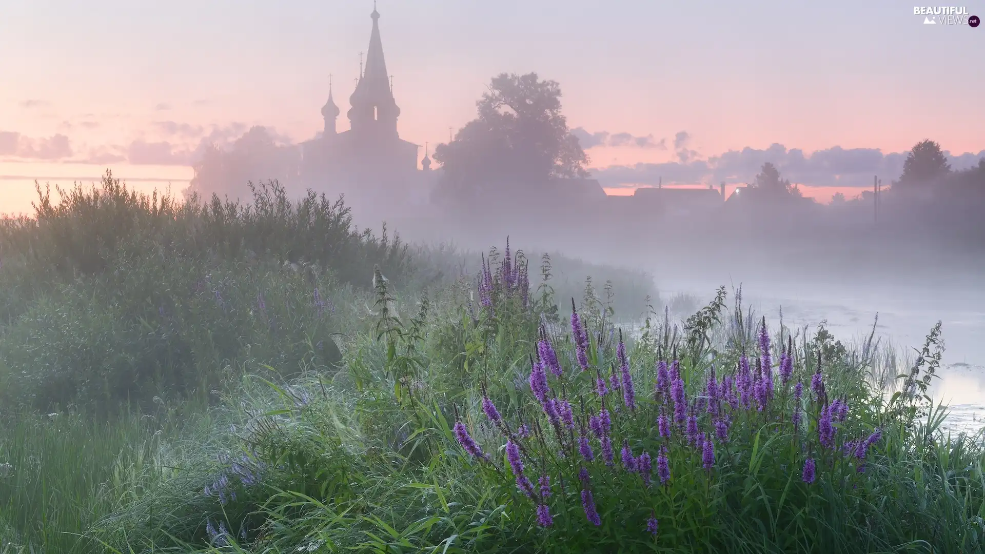Meadow, Cerkiew, Flowers, grass, River, Fog