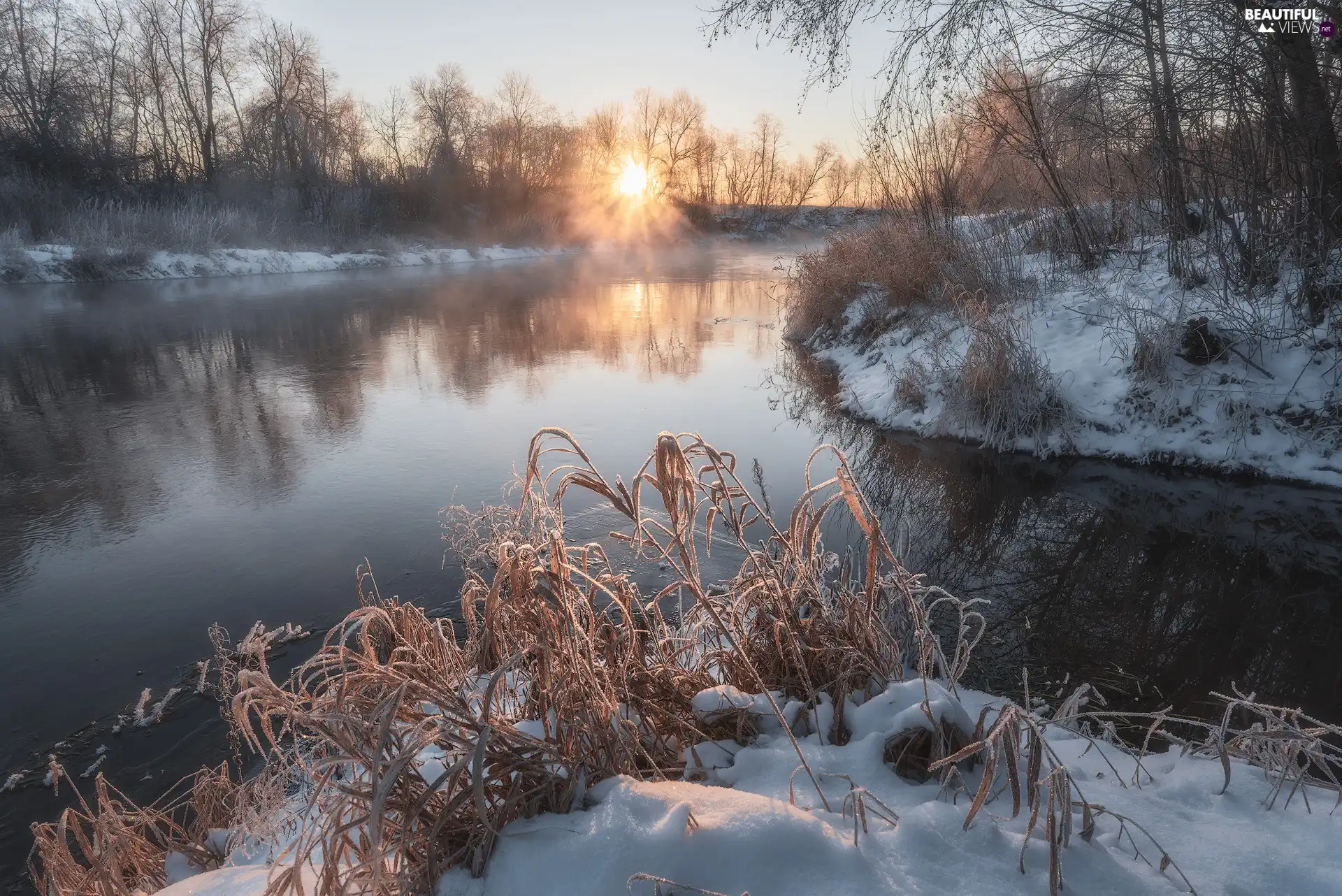 trees, viewes, rays of the Sun, grass, Fog, snow, winter, River