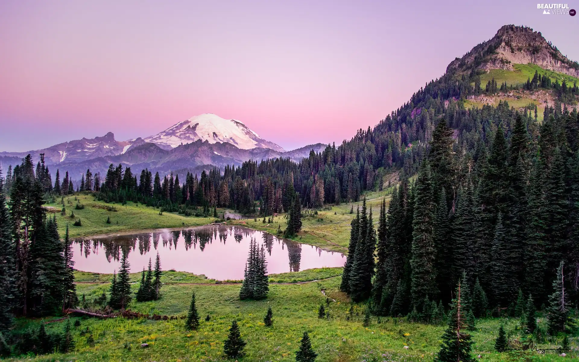 Stratovolcano Mount Rainier, The United States, grass, Meadow, trees, Mountains, Spruces, Mount Rainier National Park, Washington State, viewes, Pond - car