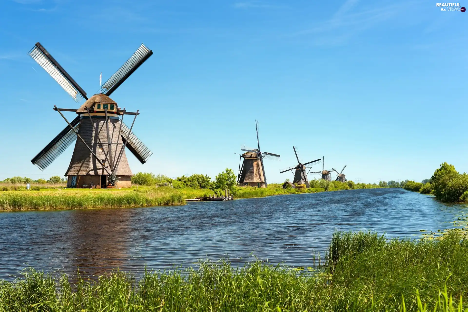 grass, Windmills, River