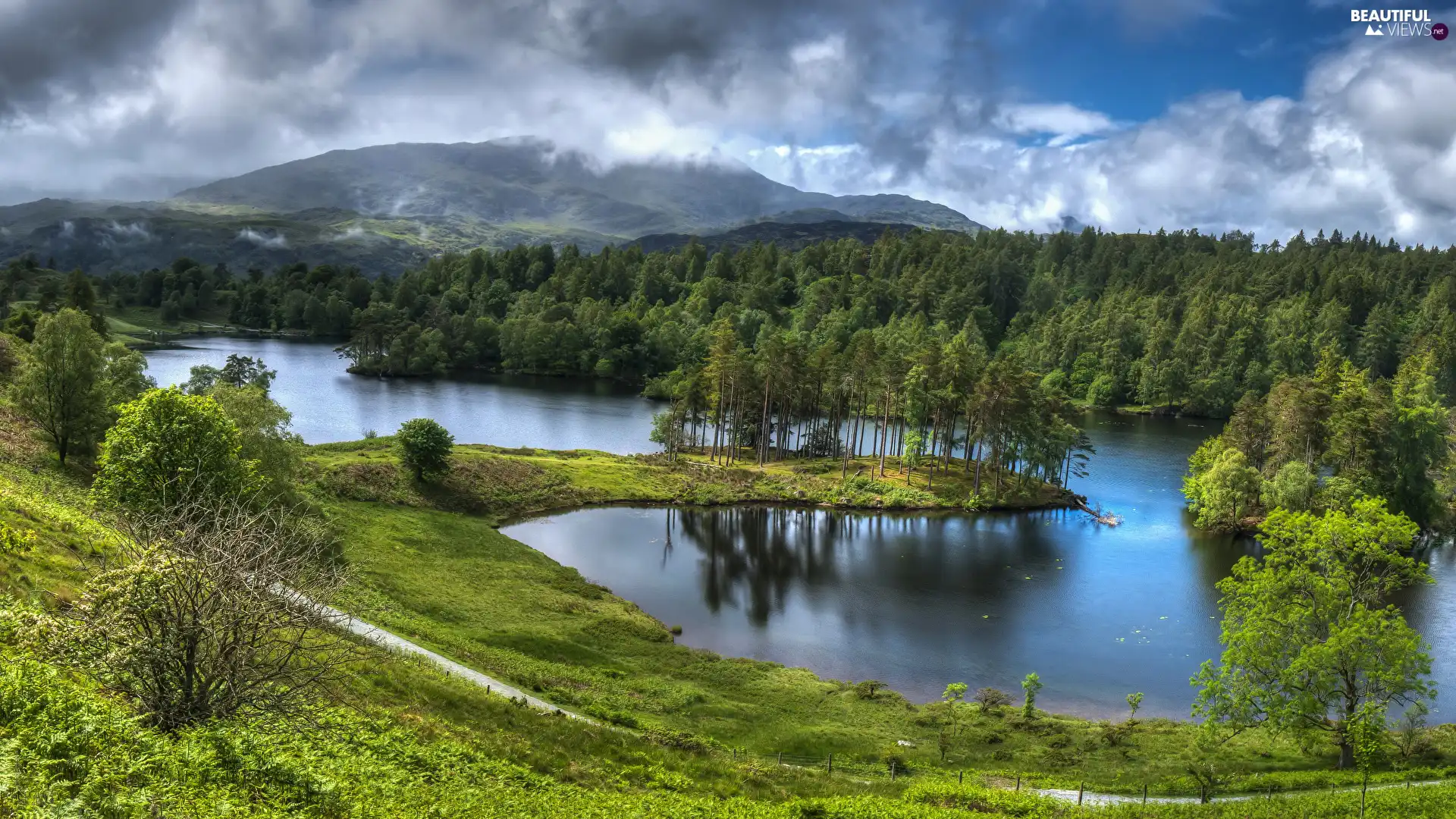 trees, viewes, summer, lake, clouds, woods, Mountains, grass