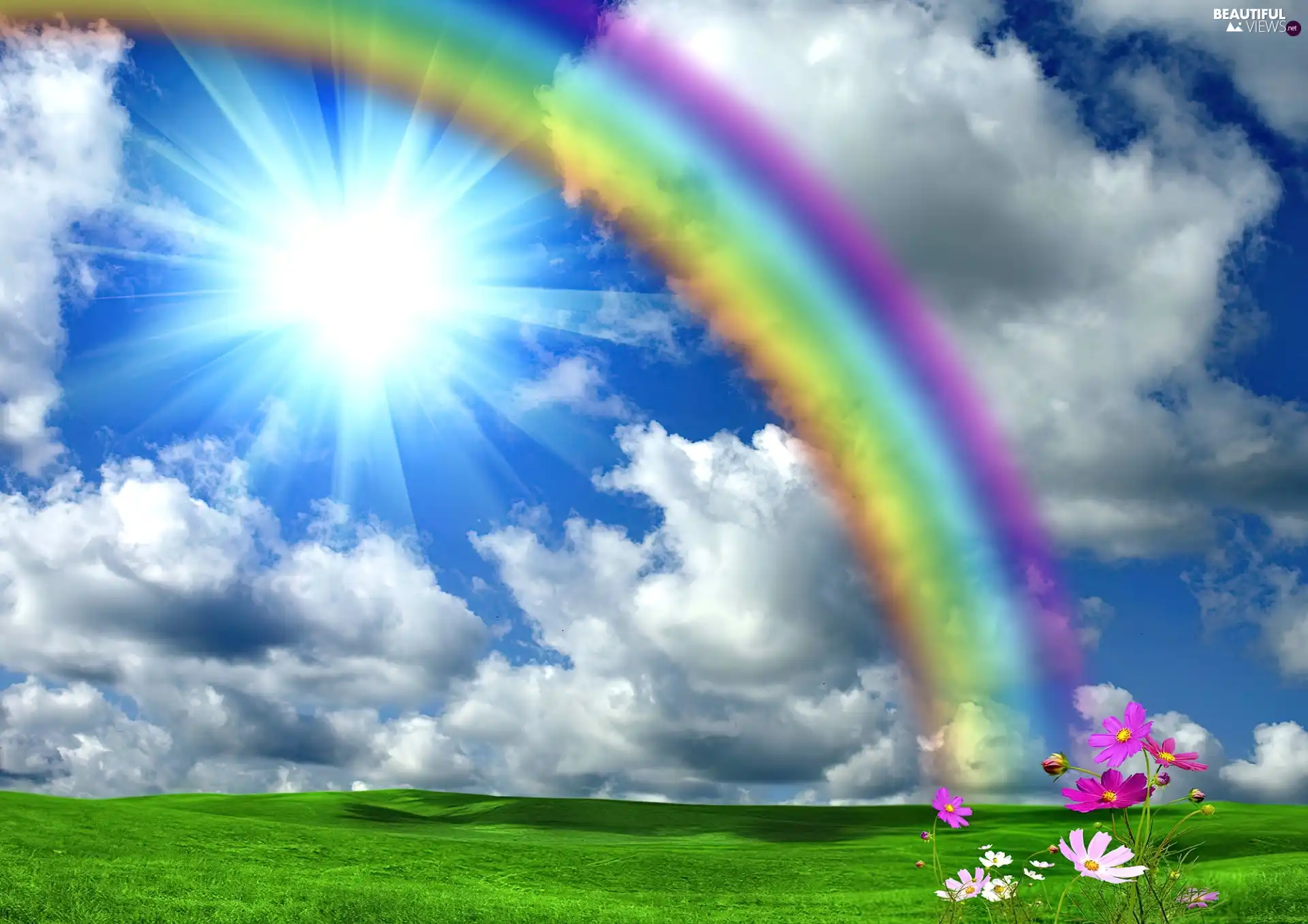 Flowers, Sky, Great Rainbows