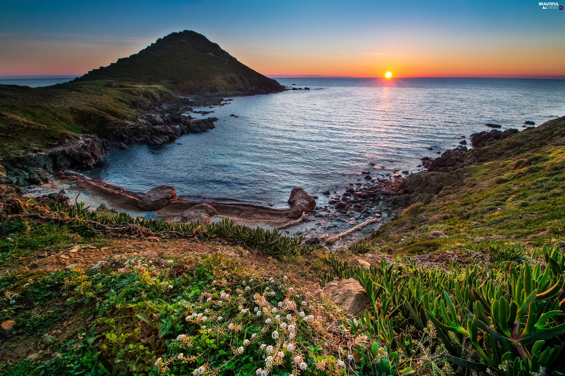 Flowers, Coast, Great Sunsets