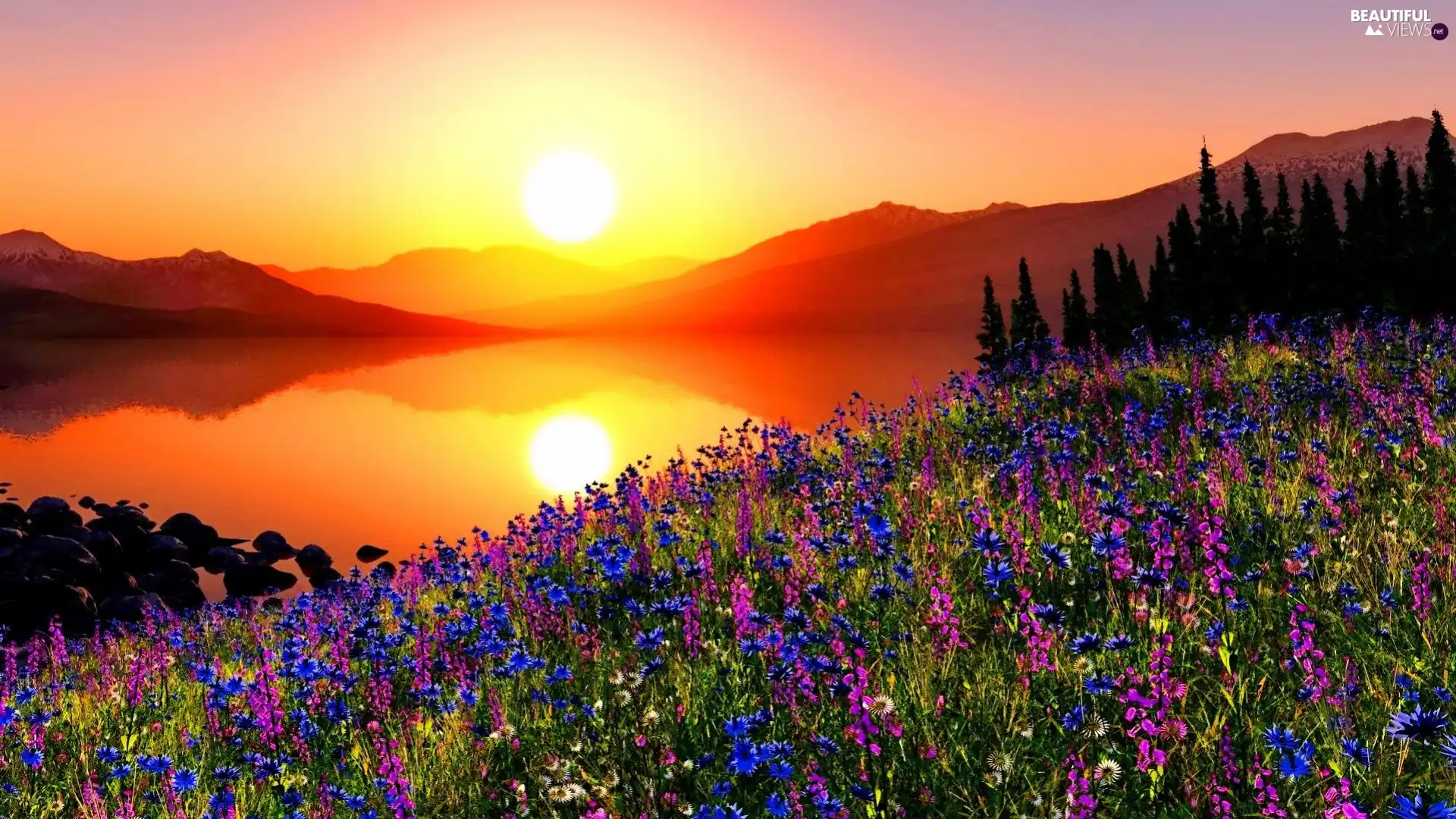 Great Sunsets, Meadow, lake, Flowers, Mountains