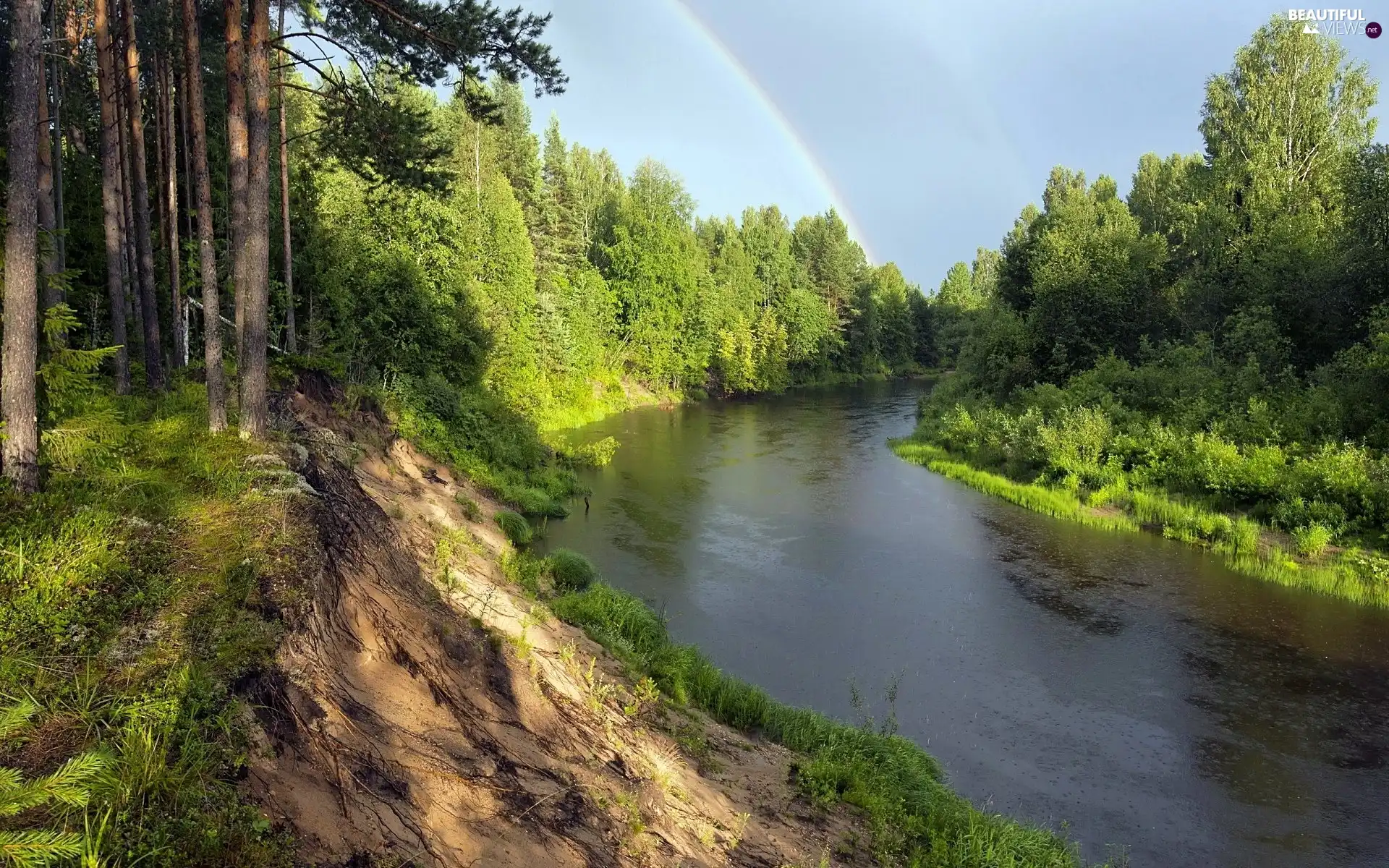 River, scarp, Great Rainbows, forest