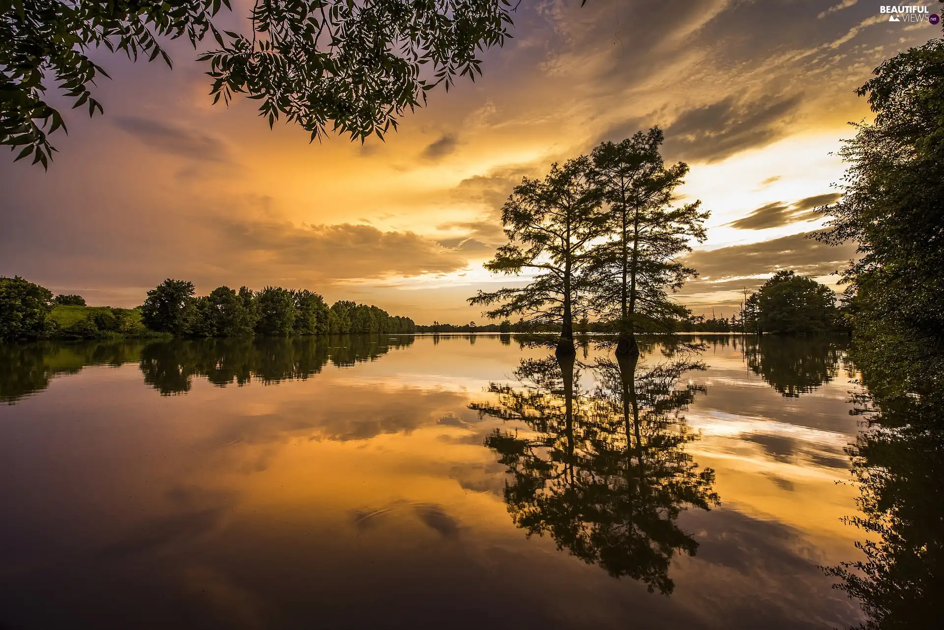 Great Sunsets, Mississippi Delta, viewes, reflection, trees, River