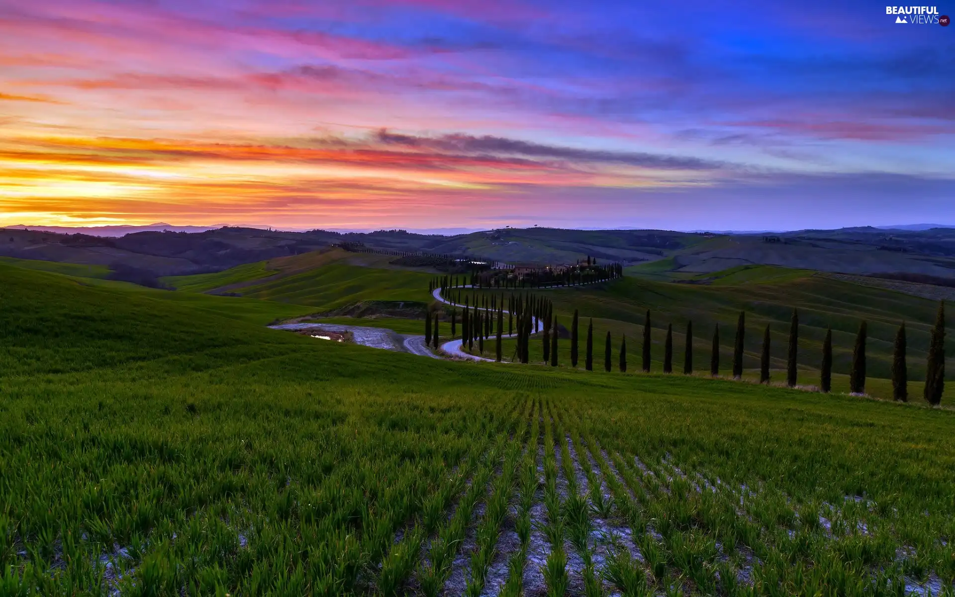 Tuscany, Italy, The Hills, trees, Way, Great Sunsets, cypresses, Houses, viewes