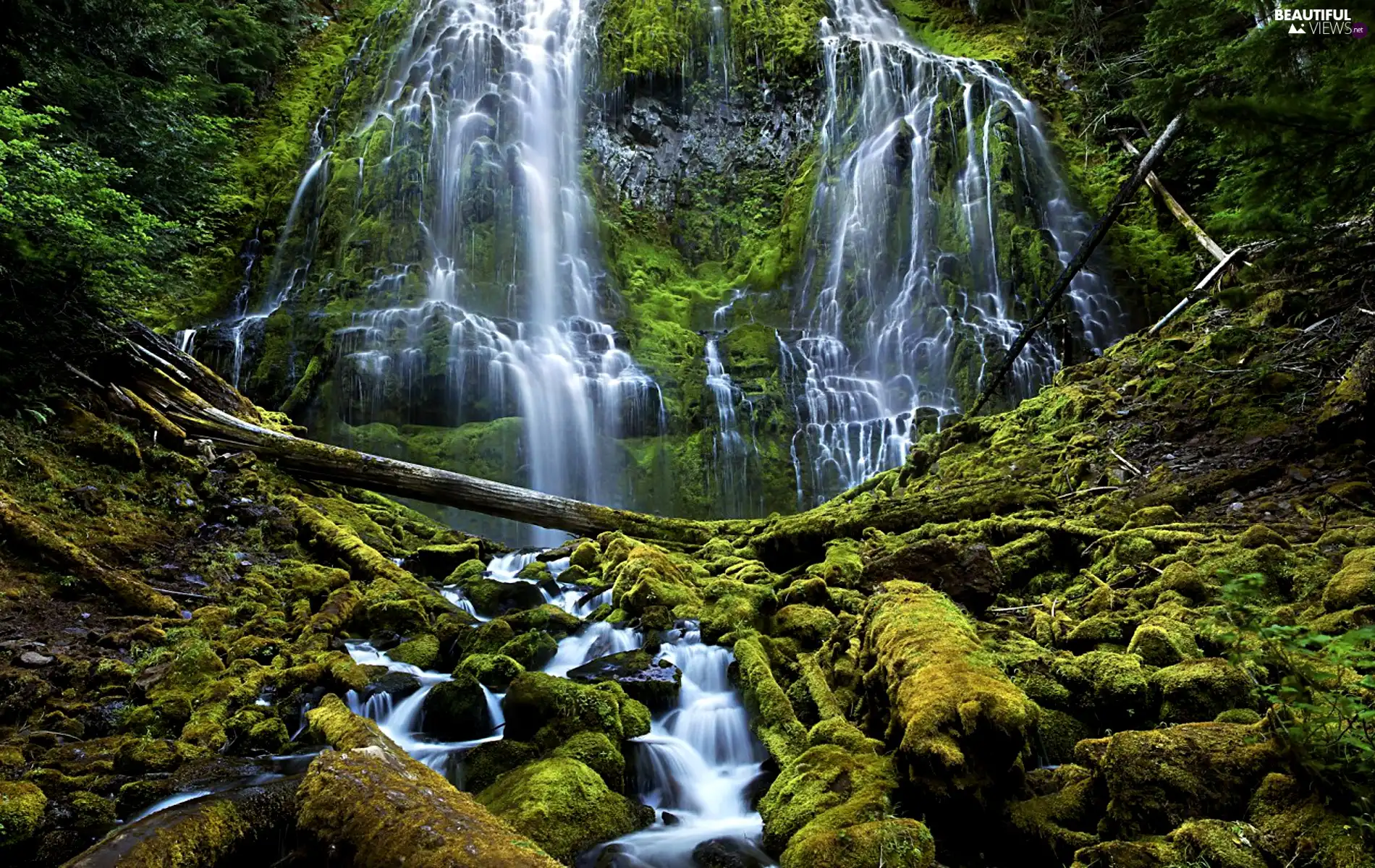 green, waterfall, Moss