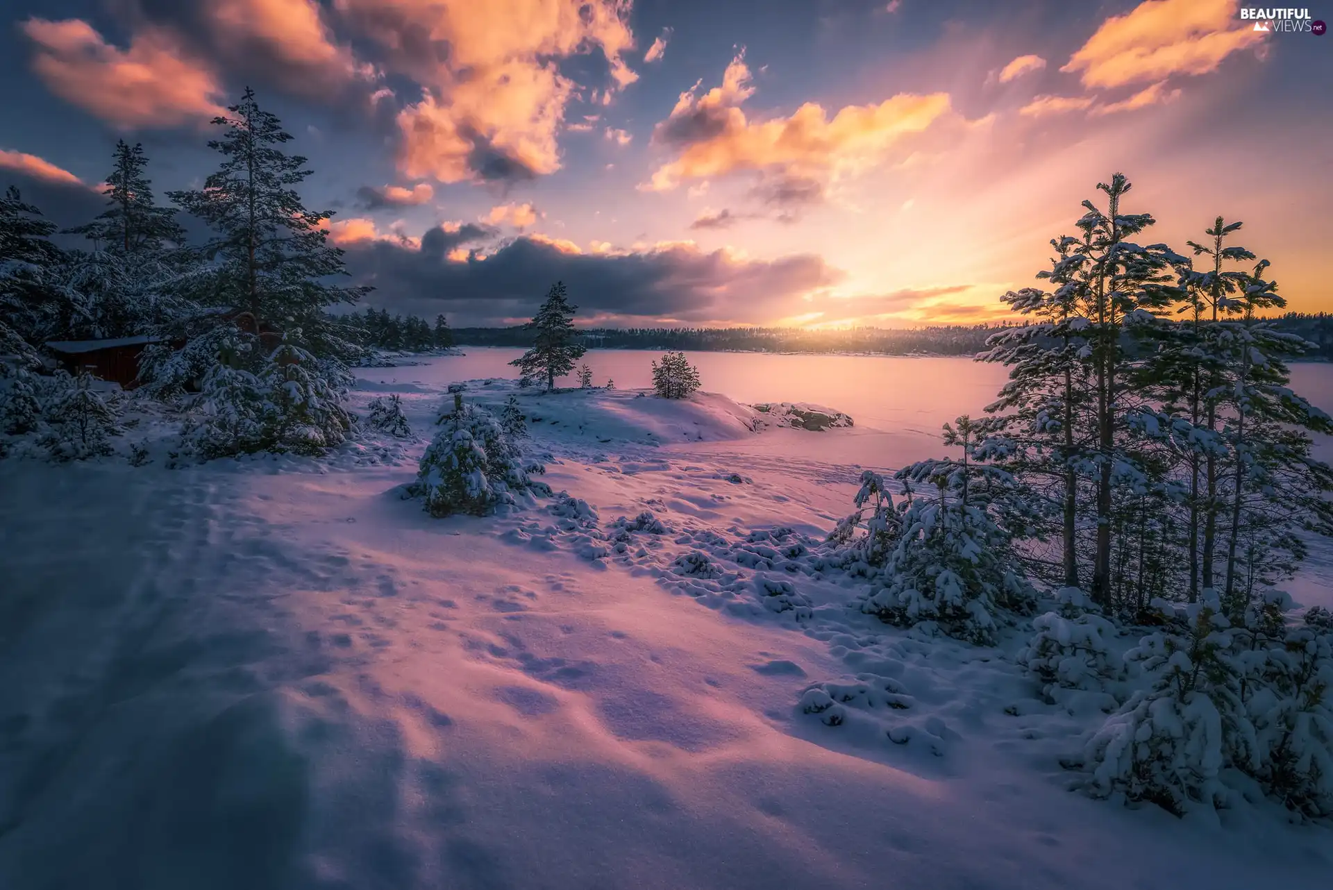 trees, Ringerike Municipality, Great Sunsets, wooden, lake, Norway, winter, House, viewes, forest
