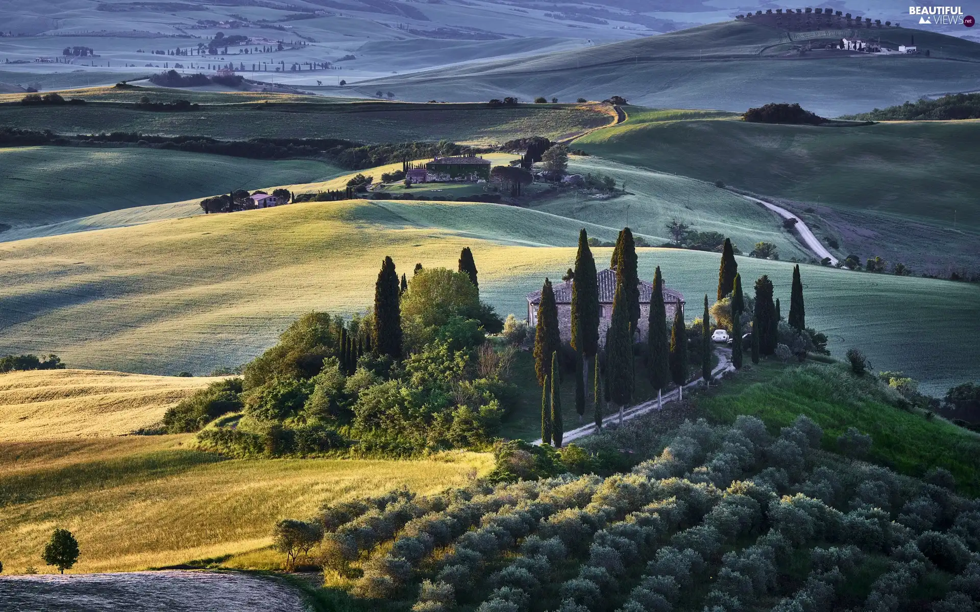 The Hills, Italy, Houses, field, cypresses, Tuscany