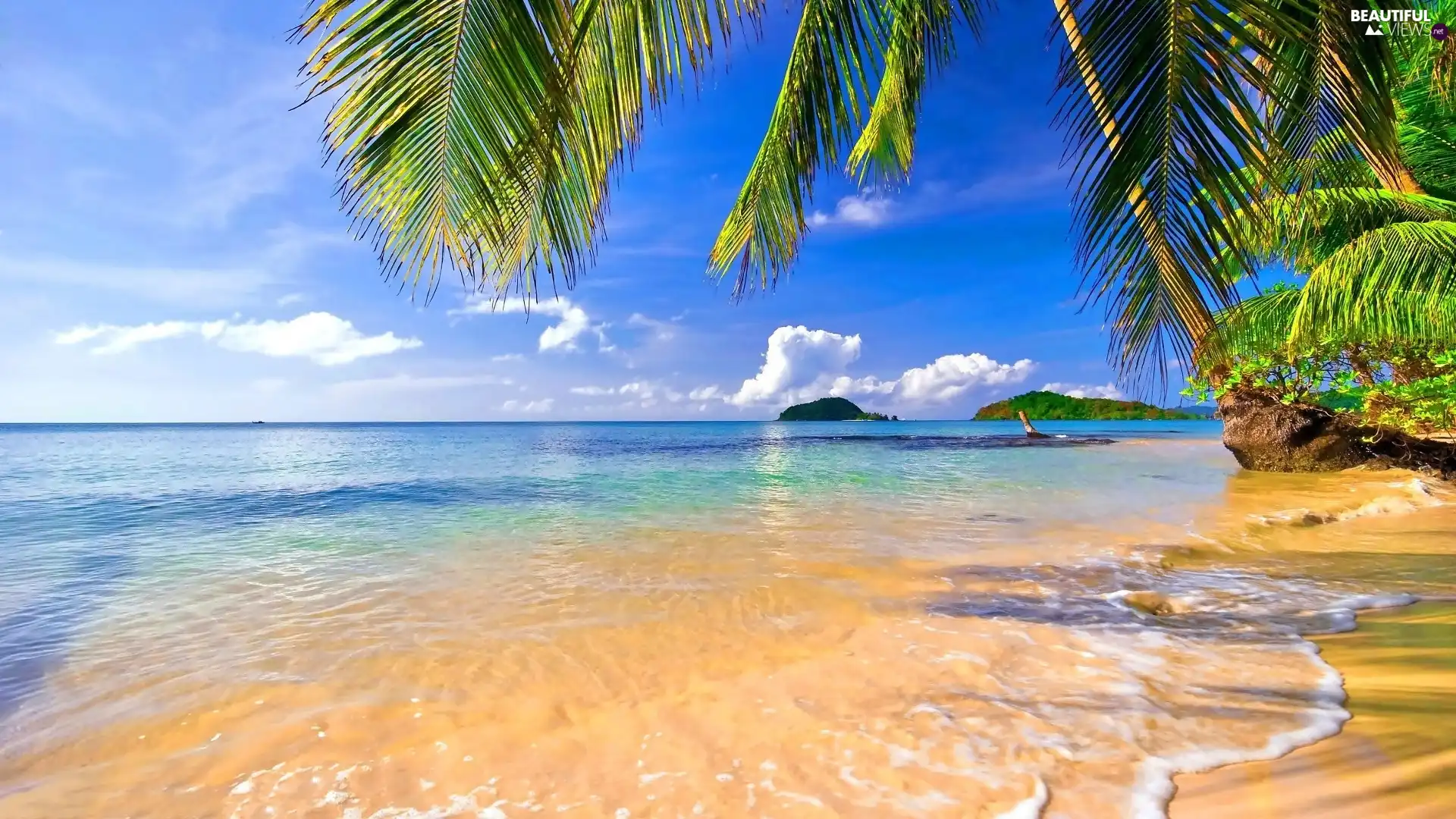 Islands, Tropical, sea, Palms, Beaches
