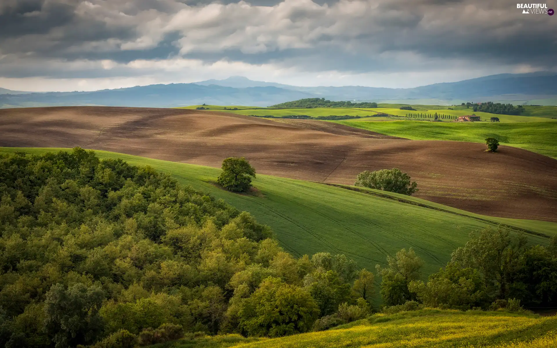 viewes, The Hills, Tuscany, trees, Field, Houses, Italy