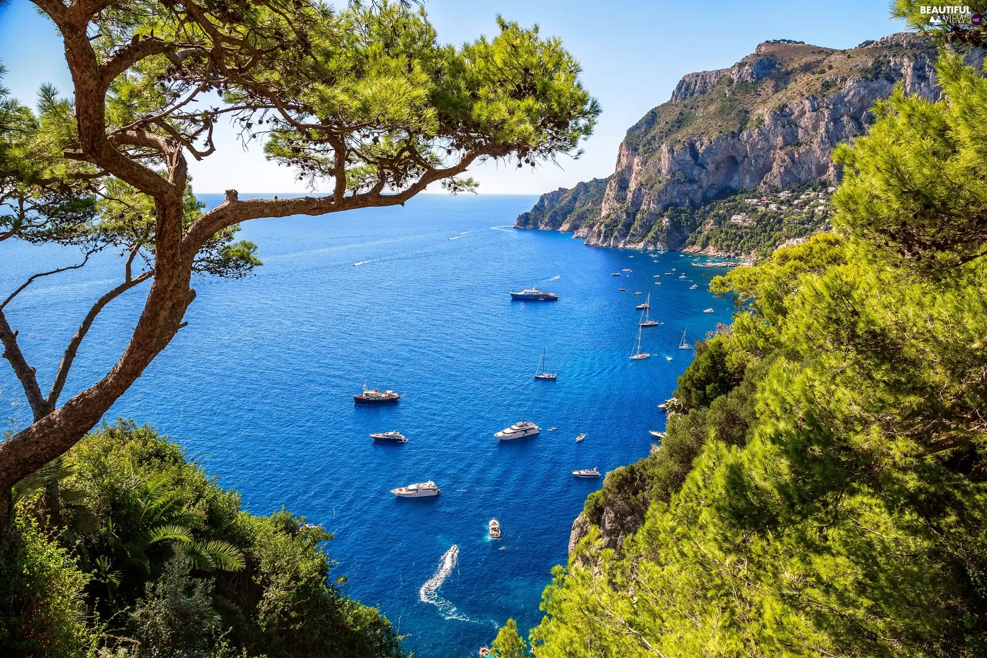 Tyrrhenian Sea, Island of Capri, rocks, Bay Marina Piccola, Italy, trees, Yachts