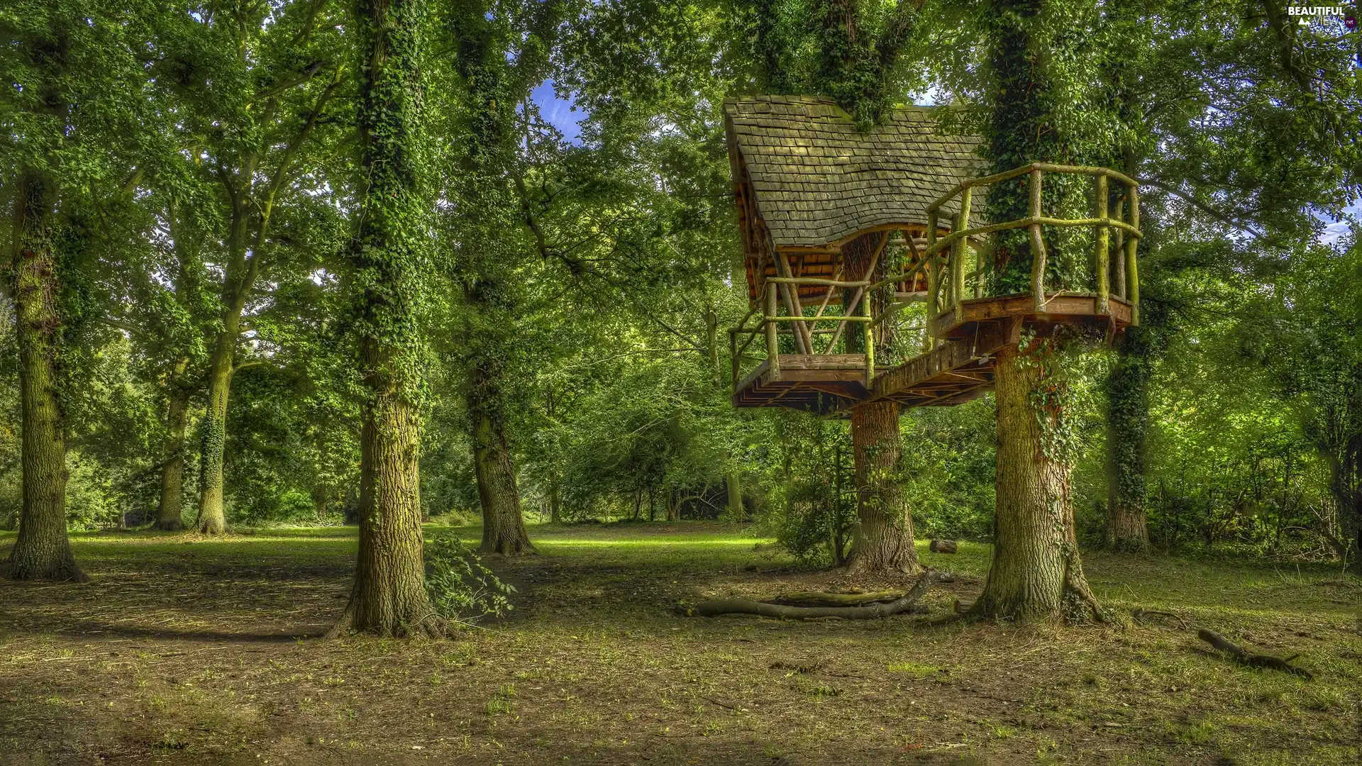 Northamptonshire County, England, Kelmarsh, Kelmarsh Hall and Gardens, Home, HDR, trees, viewes, Park